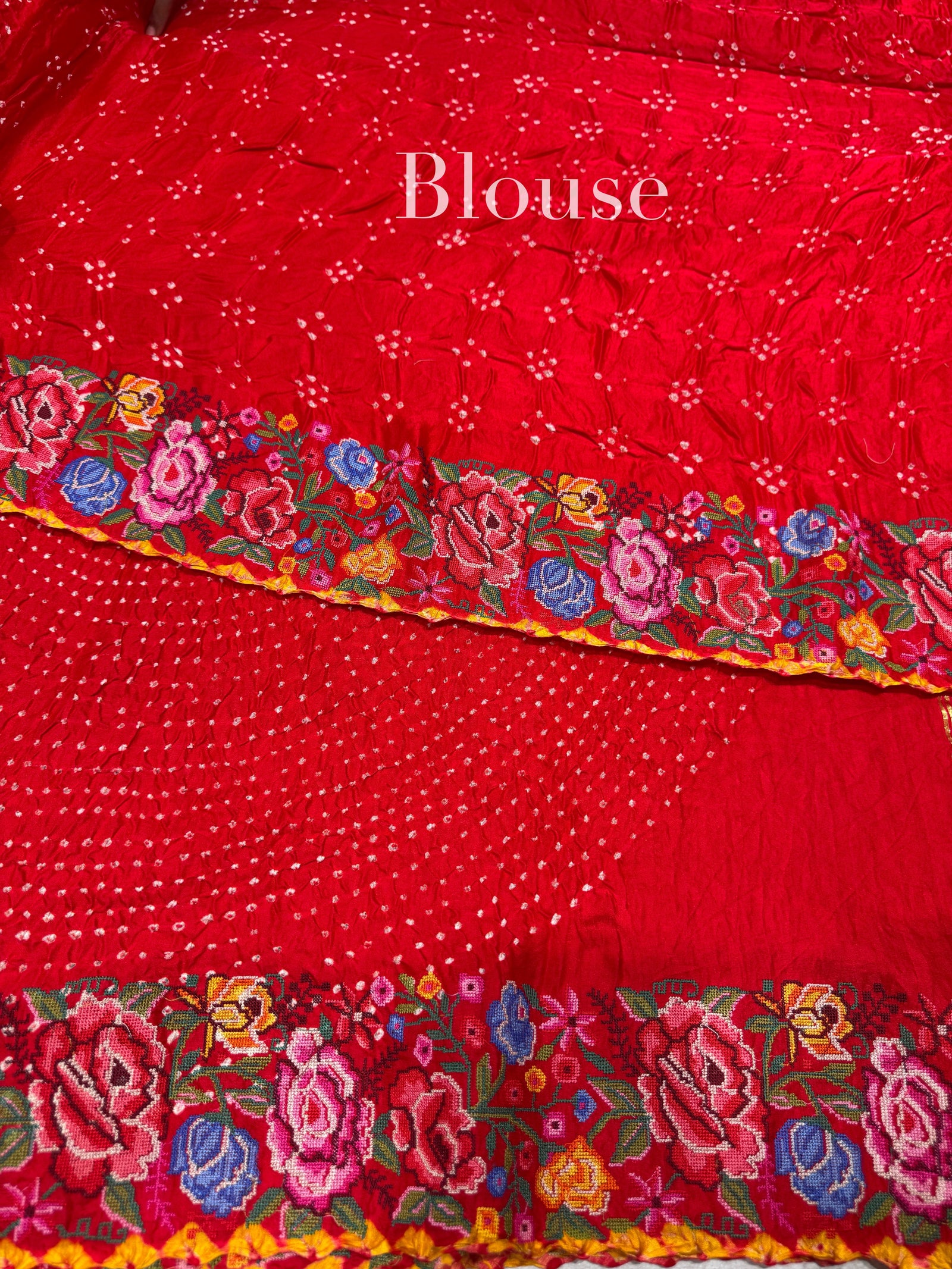 Chilli Red Pure Gajji Silk Rai bandhej Saree with petite point embroidery : SM082