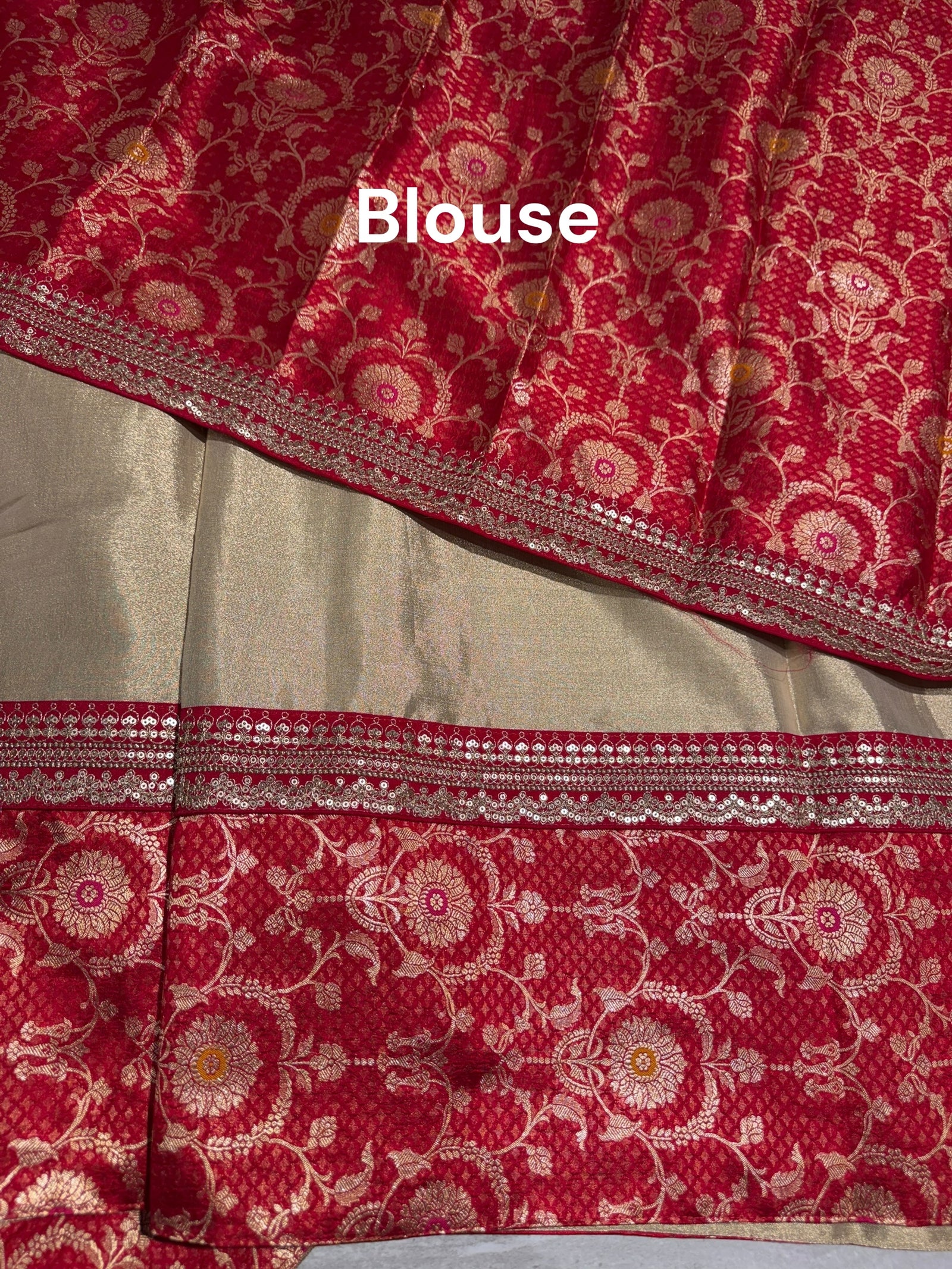 Muted Gold tissue saree with banarasi and sabhyasachi borders : S62122
