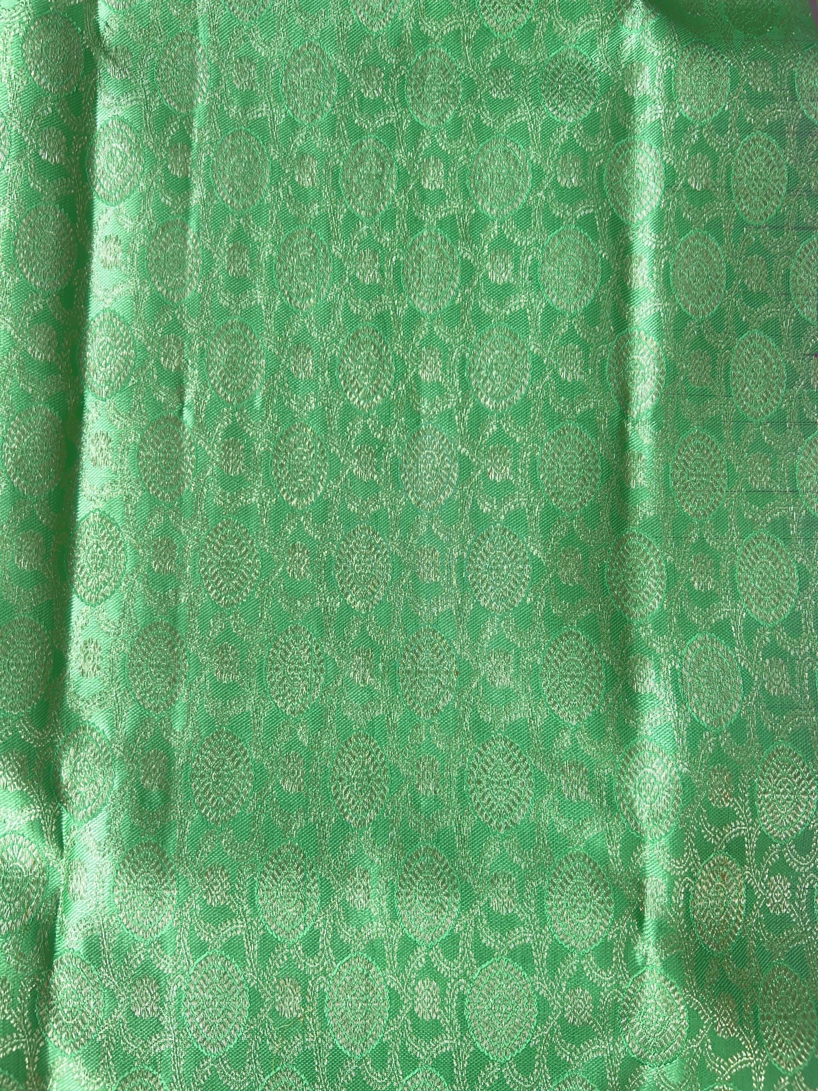 Mint Green Kanchi Pattu Brocade Saree with Rich Purple Zari Border & Pallu