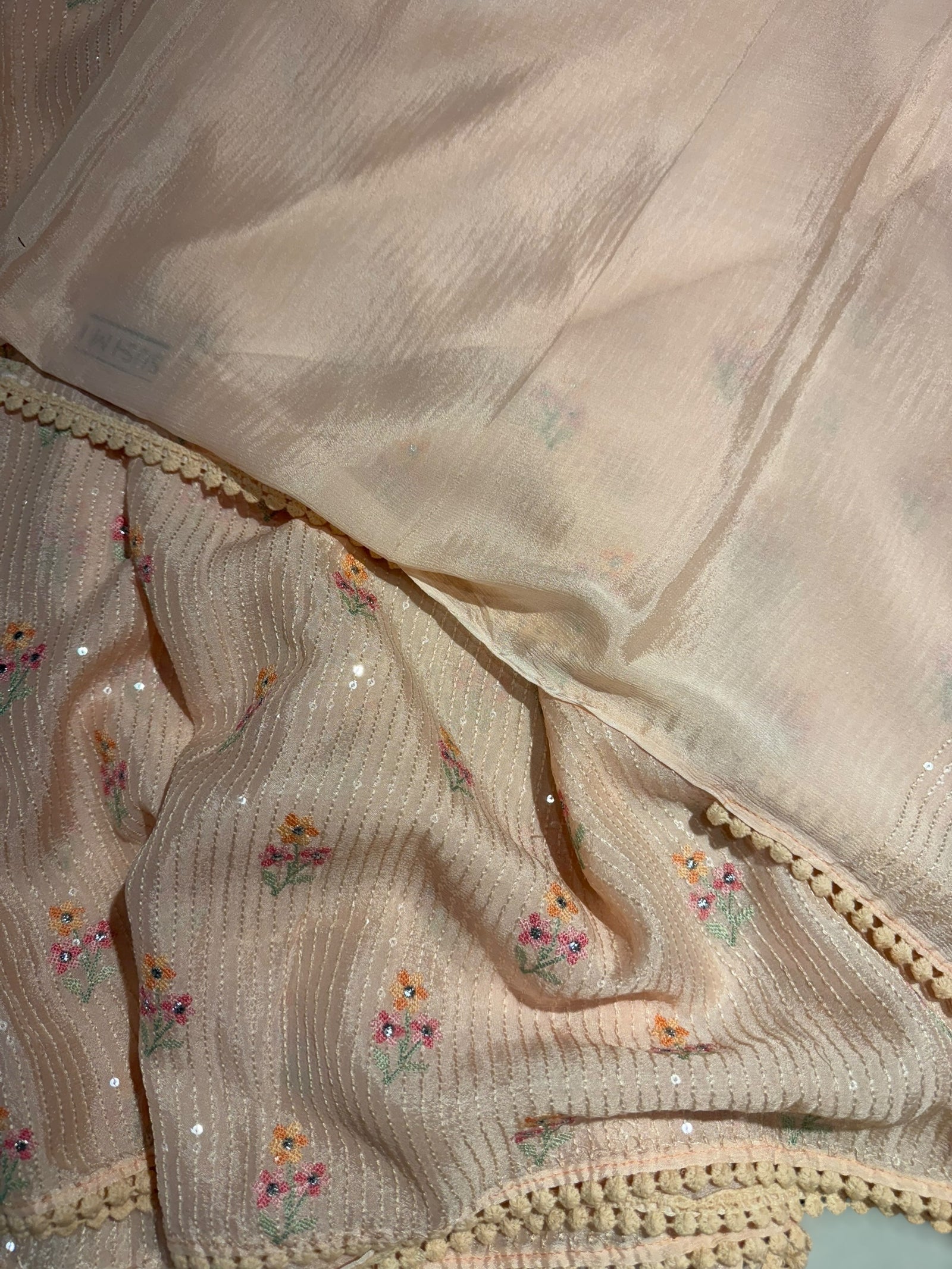 Light peach chiffon saree with embroidery