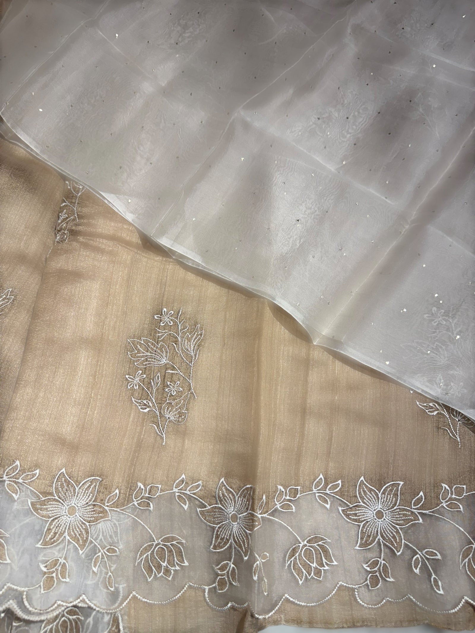 Chickoo Pure Handloom Tussar Saree with embroidery