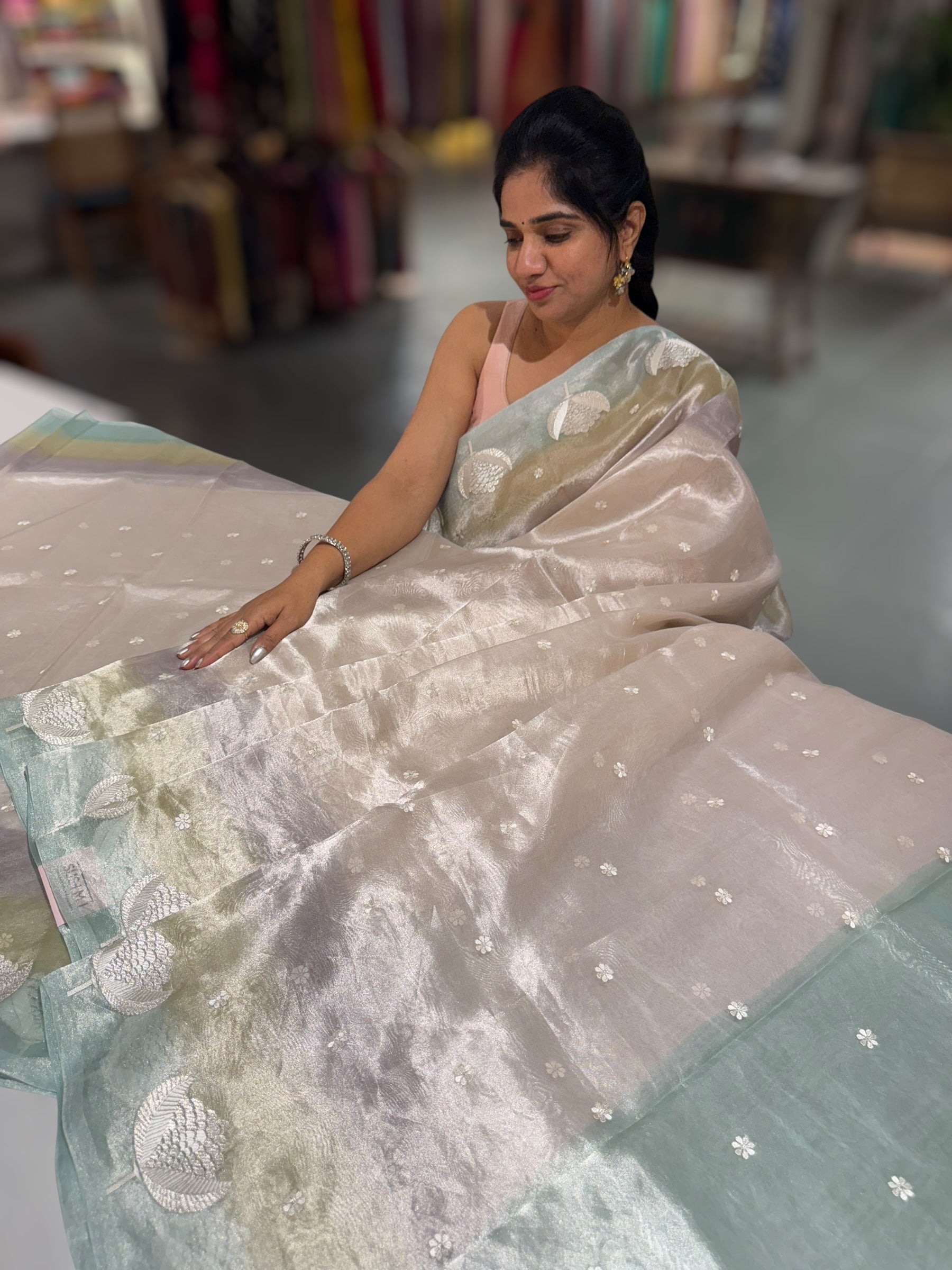 Silver Tissue Saree with ombre dyed Embroidered Border