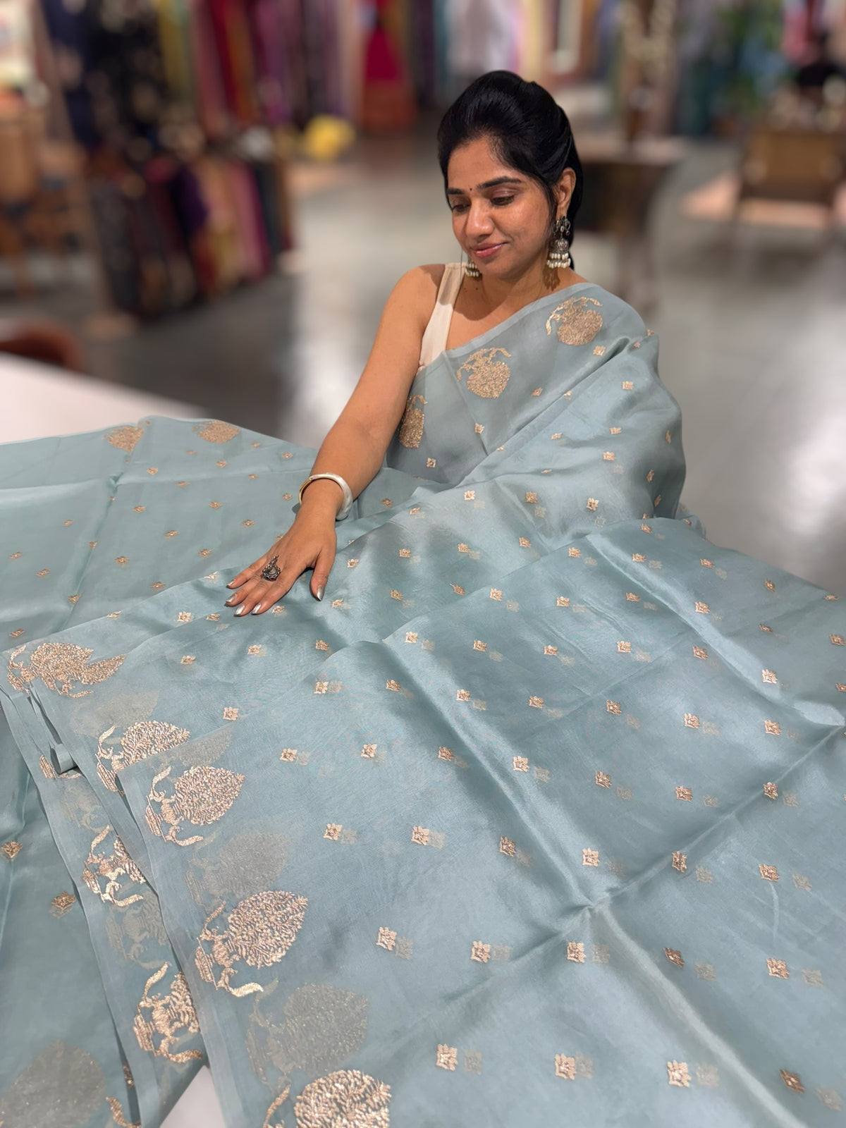 Powder Blue Organza Saree With Embroidered Motifs & Tussar Printed Blouse