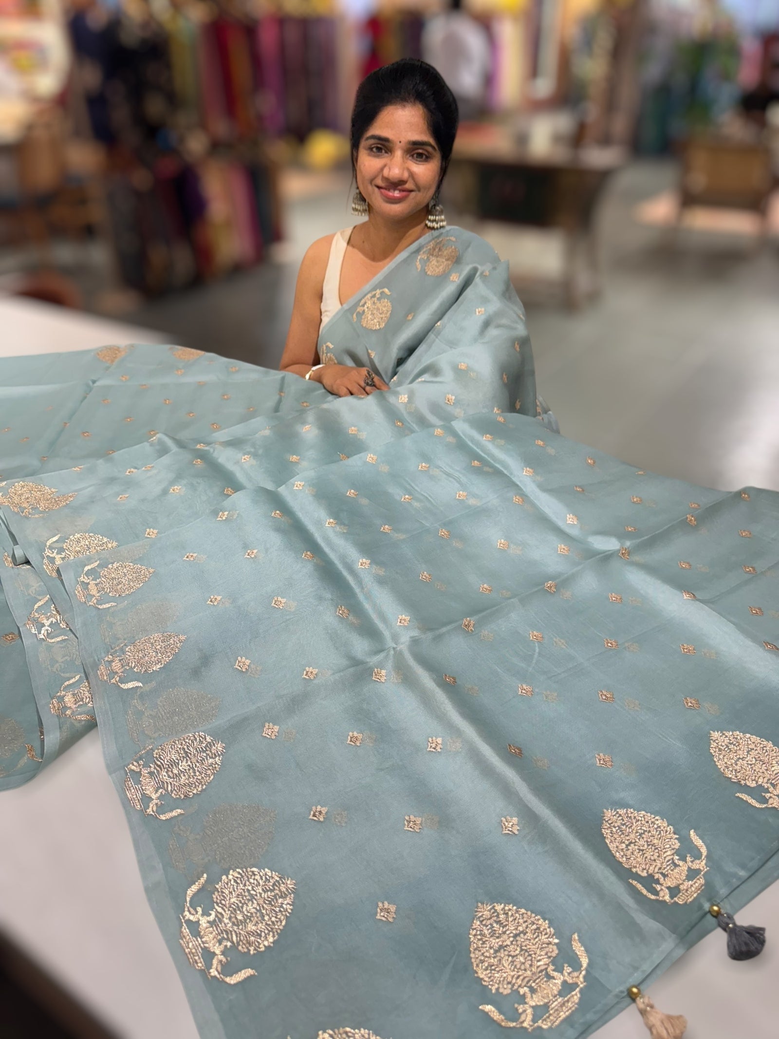 Powder Blue Organza Saree With Embroidered Motifs & Tussar Printed Blouse