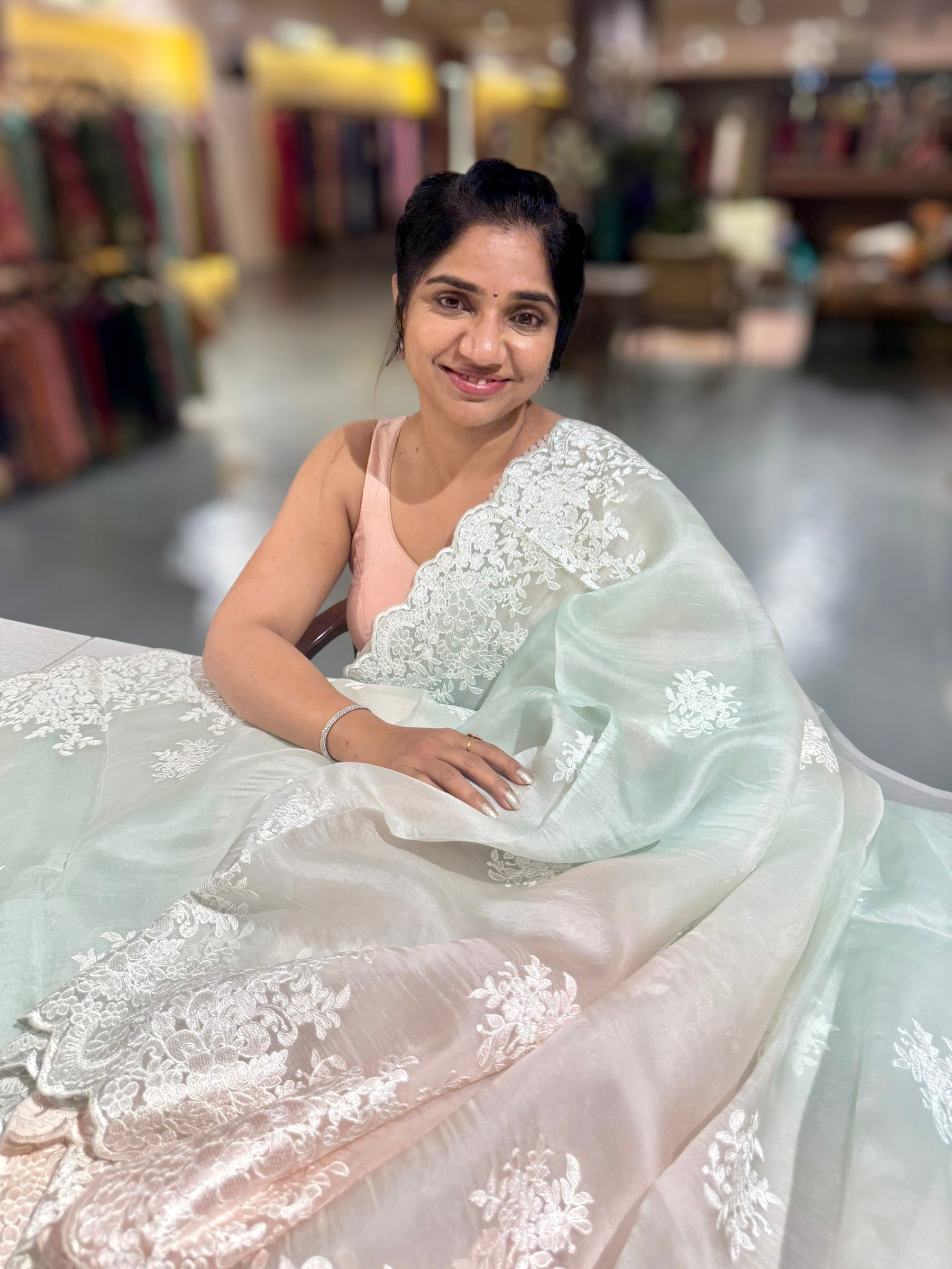 Pure Organza  Ombre Dyed Saree With allover Embroidery