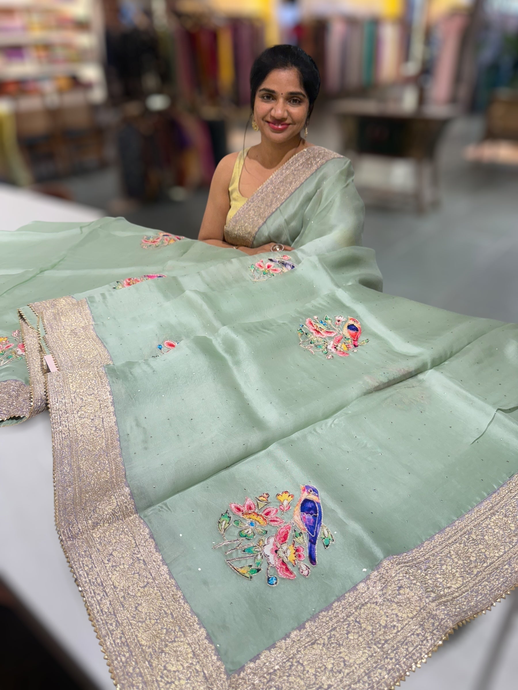 Mint Pure Organza Saree with banarasi pitawork border and bird applique motifs allover the saree