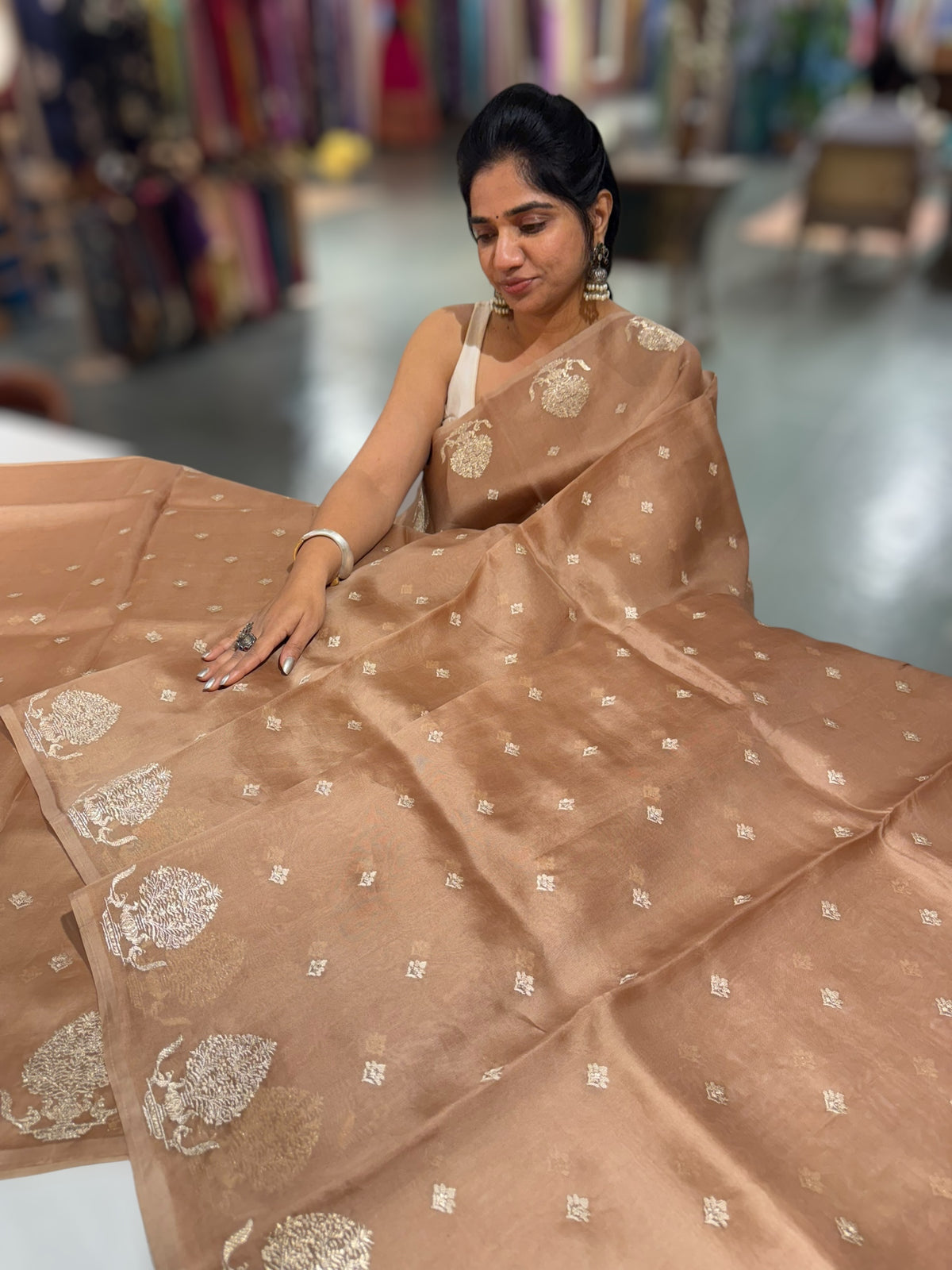 Nude Brown Organza Saree With Embroidery & Tussar Printed Blouse