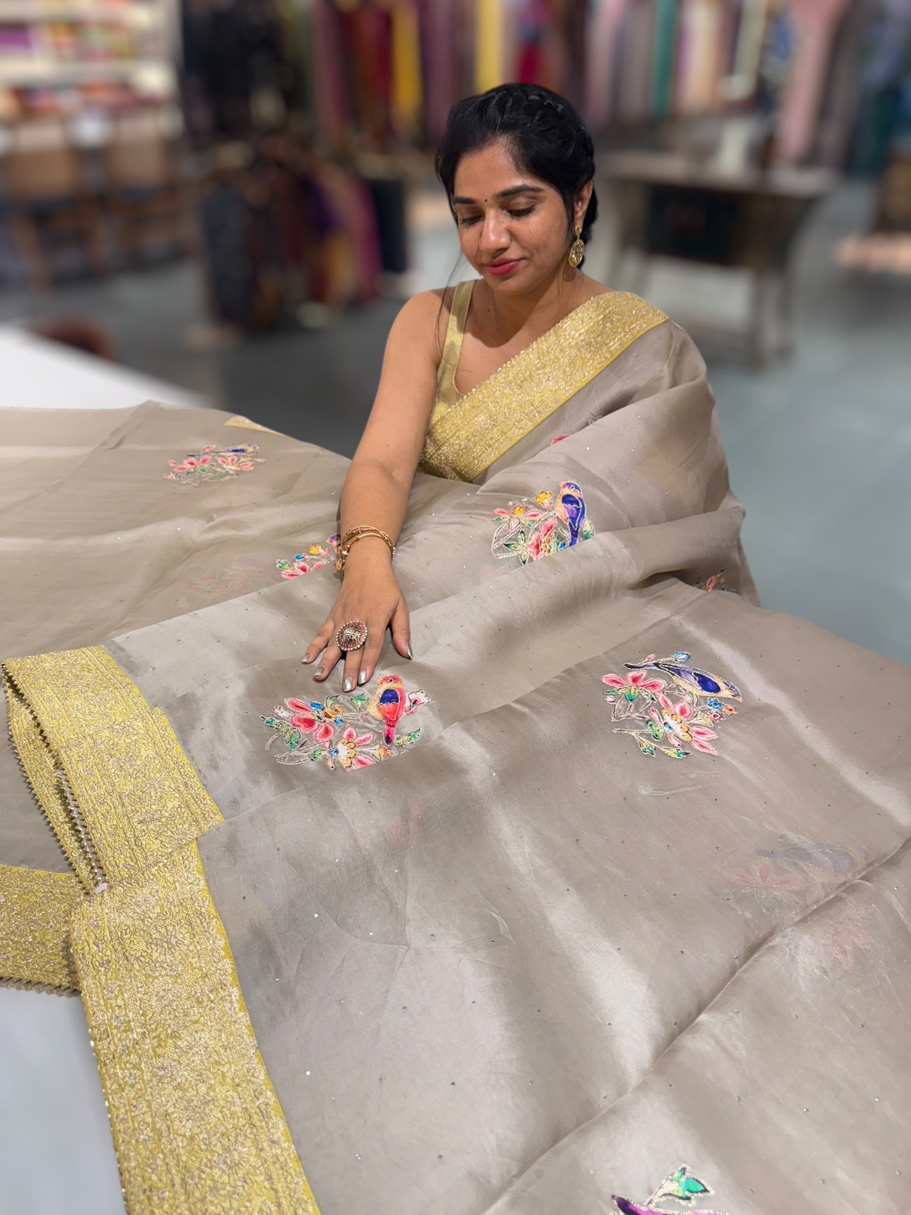 Earthy Tone Pure Organza Saree with banarasi pitawork border and bird applique motifs allover the saree