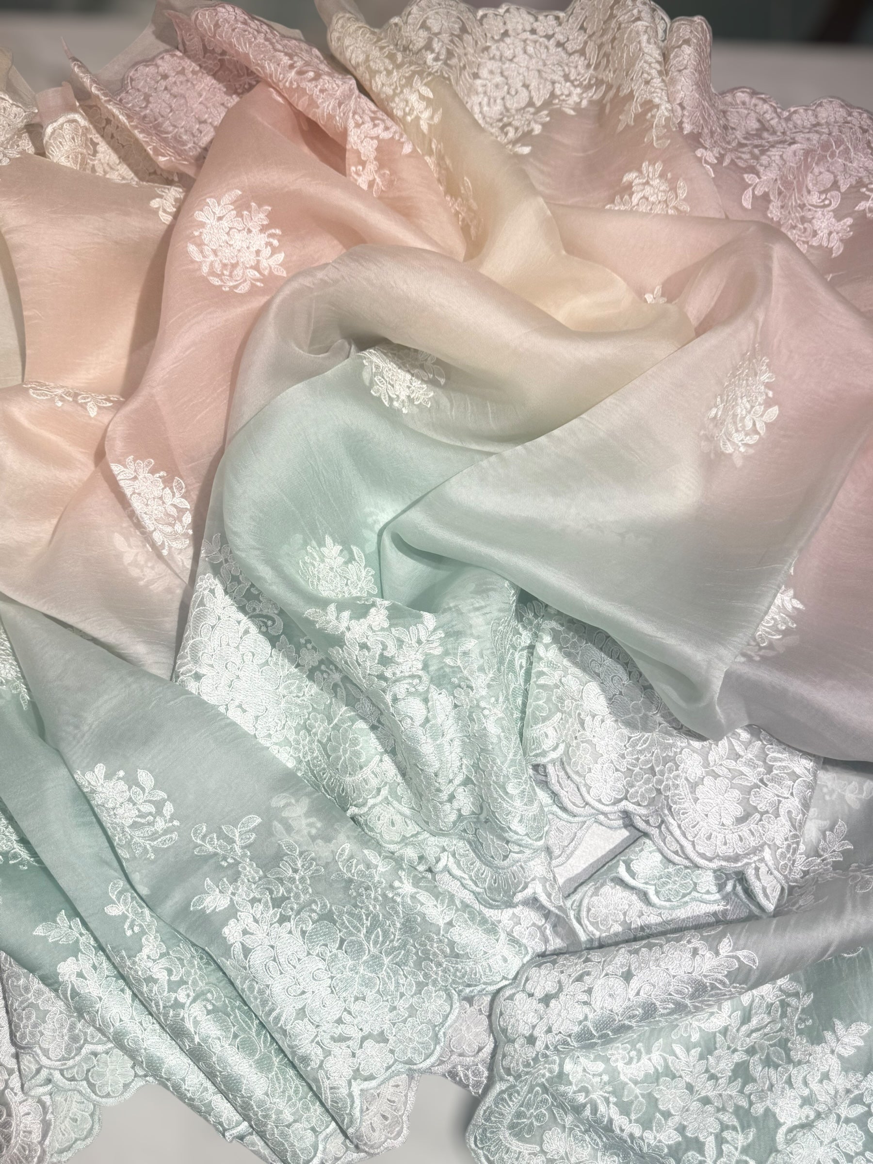 Pure Organza  Ombre Dyed Saree With allover Embroidery