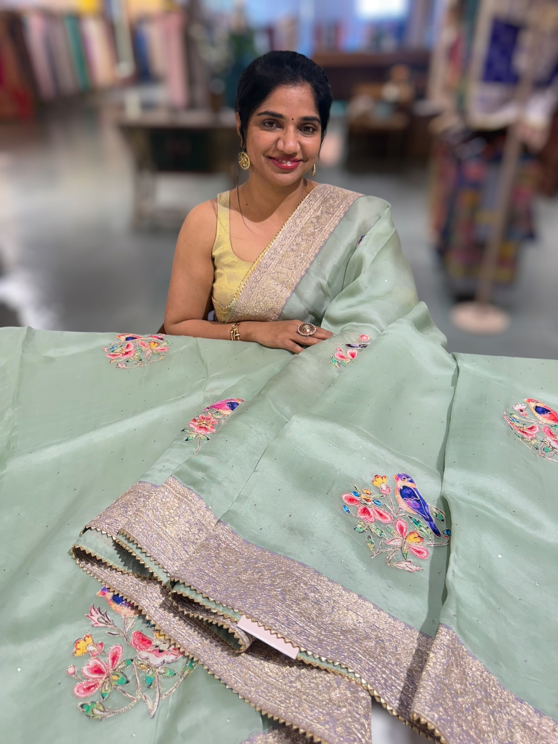 Mint Pure Organza Saree with banarasi pitawork border and bird applique motifs allover the saree