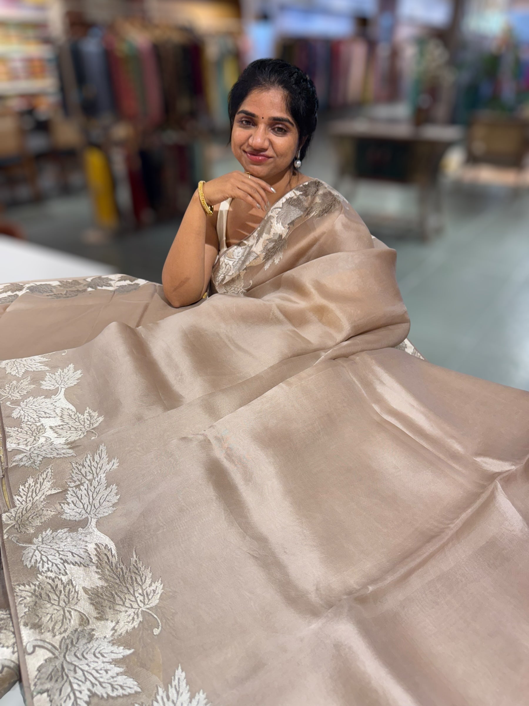 Taupe Organza Saree with Stunning Leaf Embroidered Border