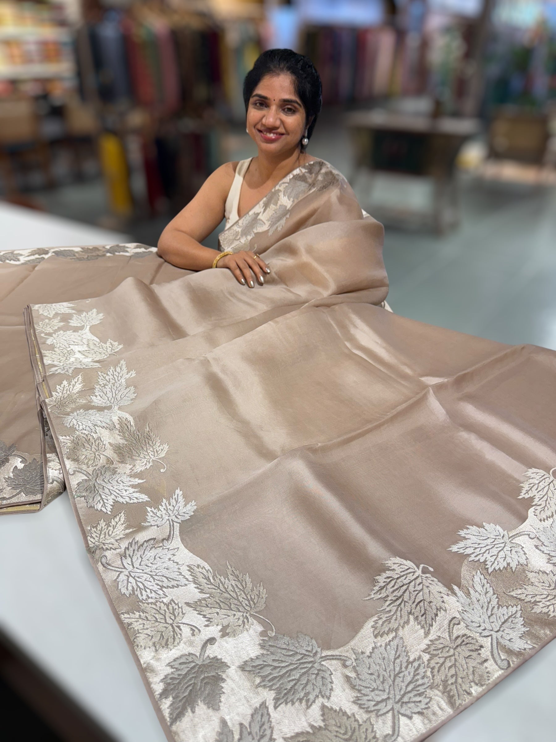 Taupe Organza Saree with Stunning Leaf Embroidered Border