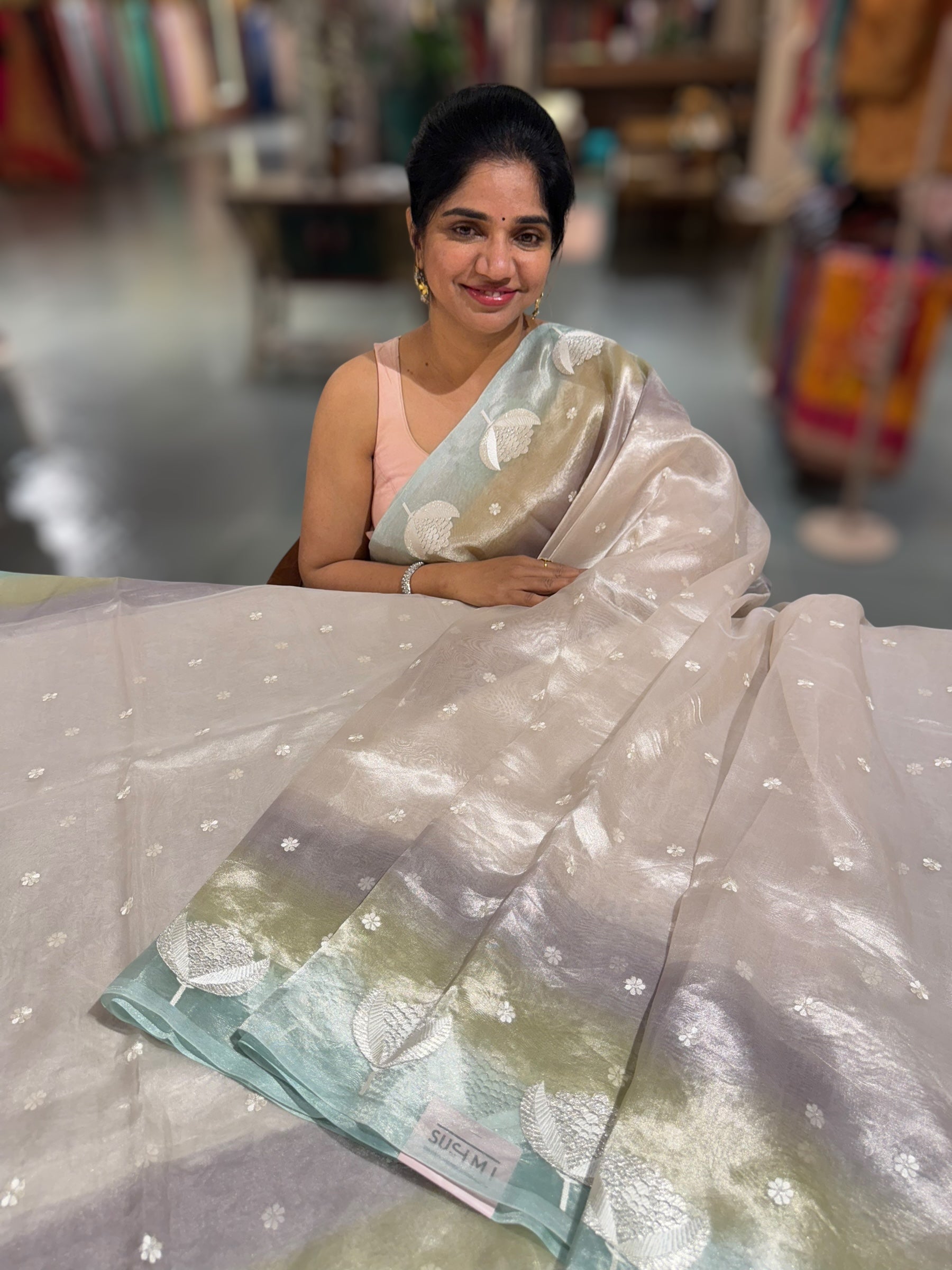 Silver Tissue Saree with ombre dyed Embroidered Border