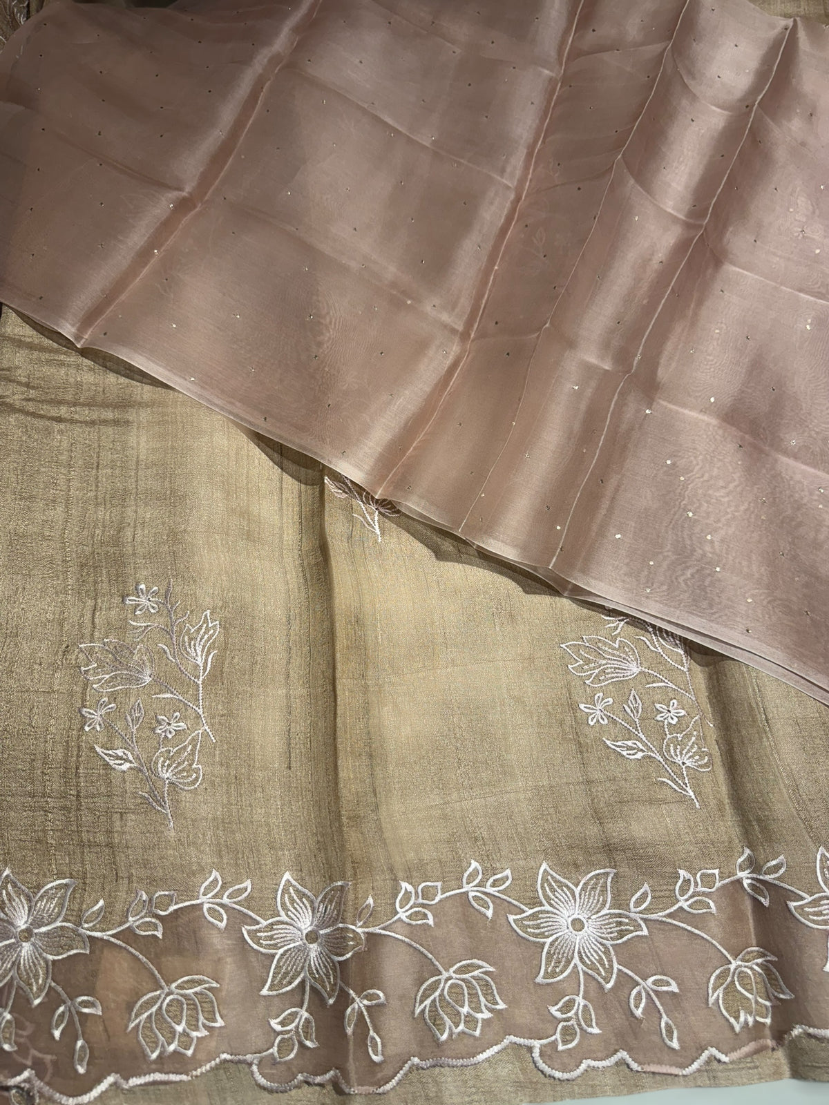 Chickoo Tussar Saree with organza embroidered border