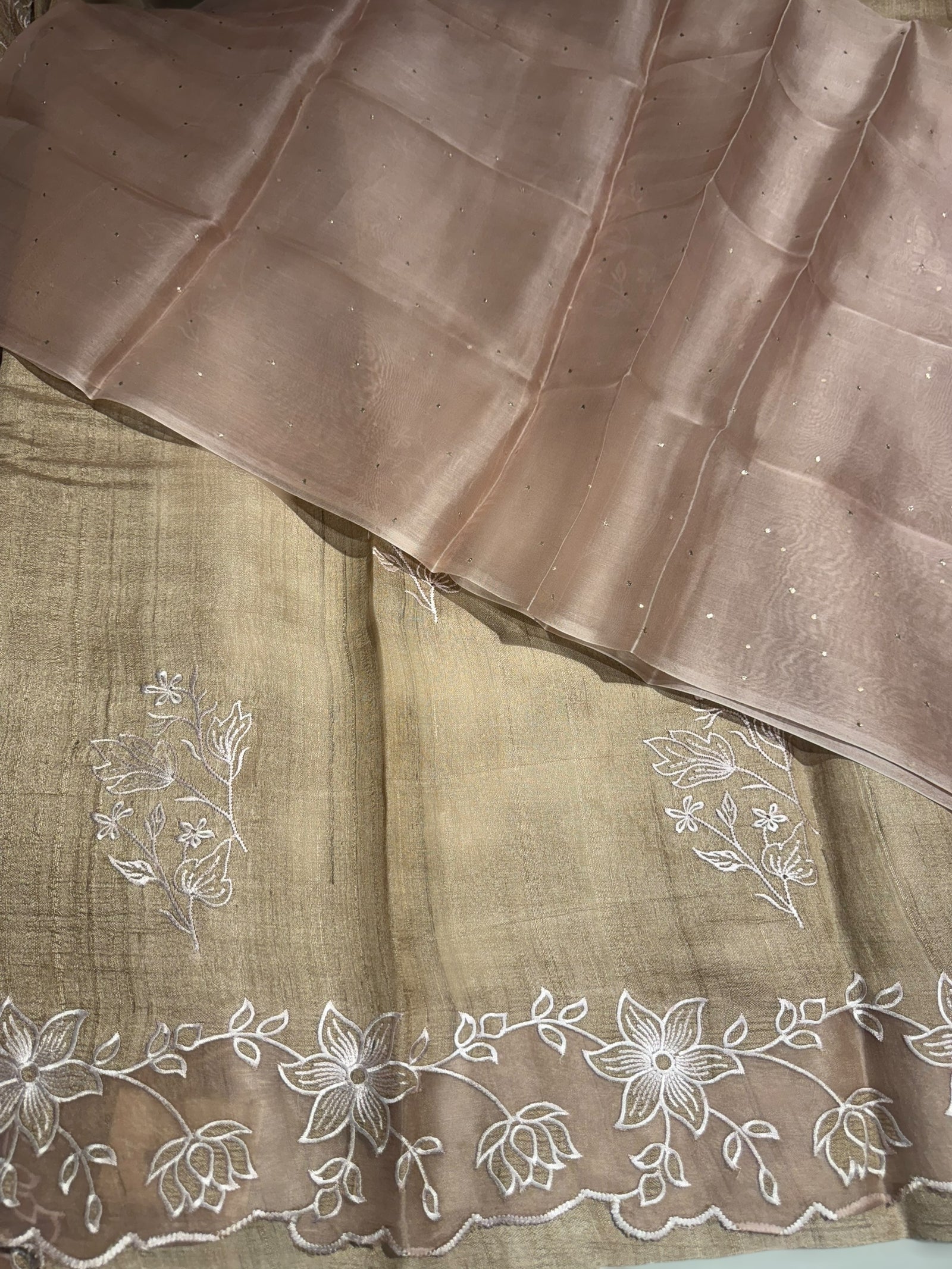 Chickoo Tussar Saree with organza embroidered border
