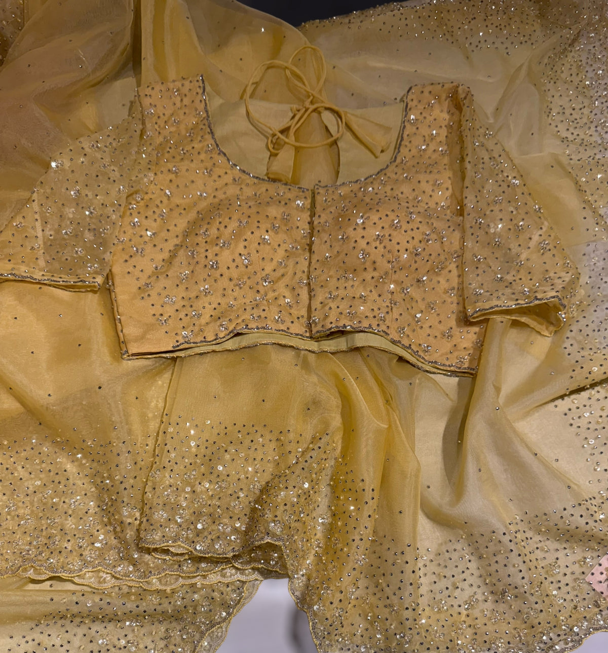 Pastel yellow Organza handwork saree with ready to wear blouse