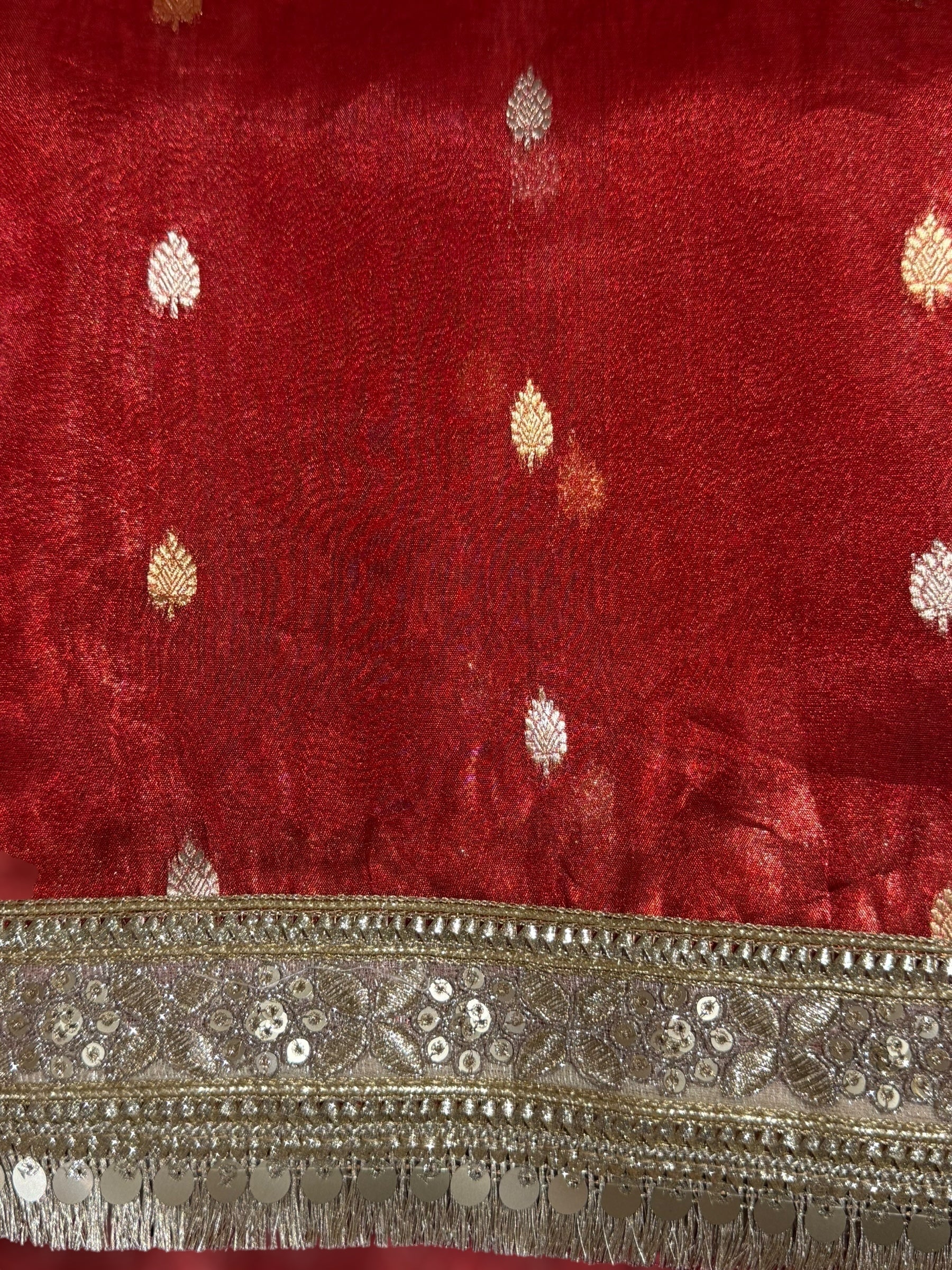 Red Pure handloom Banarasi Tissue saree