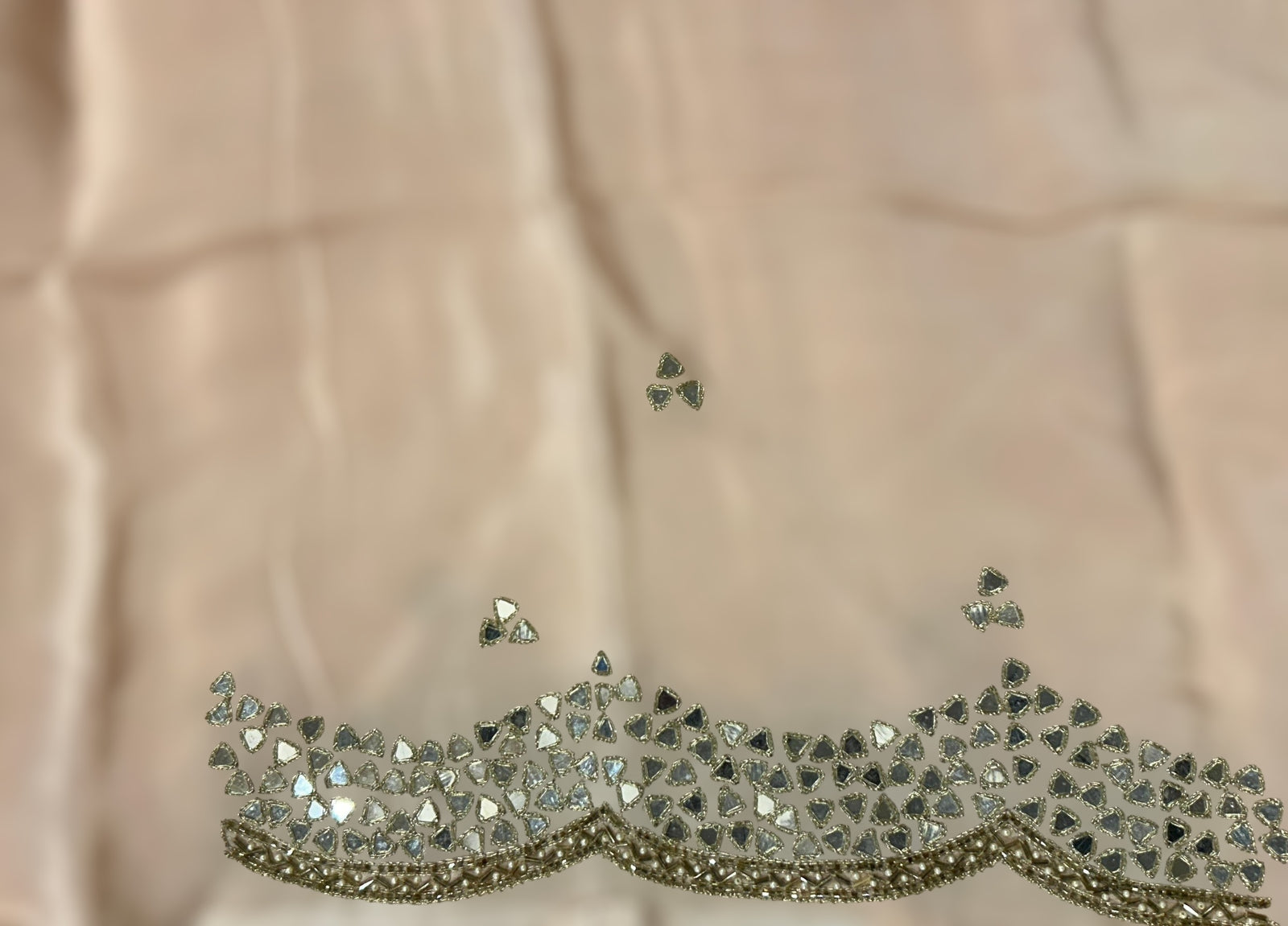 Peach Organza floral Printed Saree with mirrorwork handwork scalloped Border