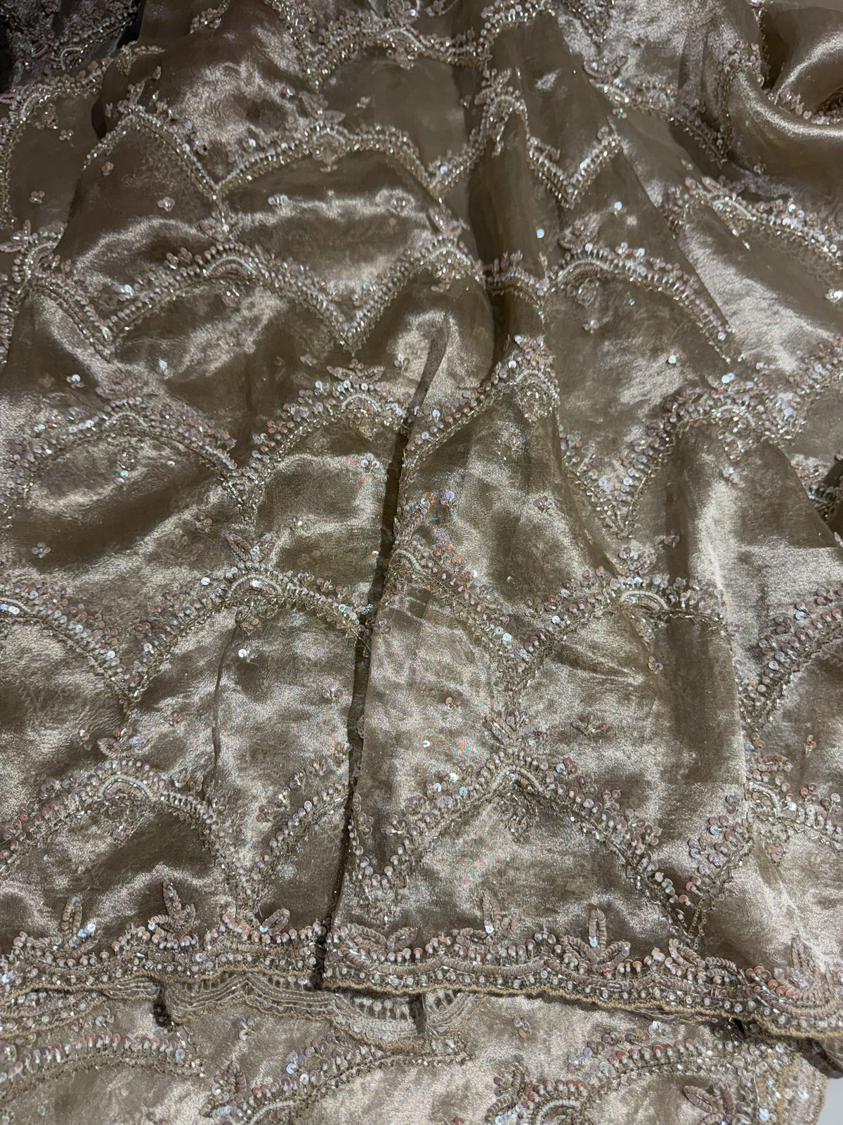 Nude tissue saree with heavy allover intricate handwork