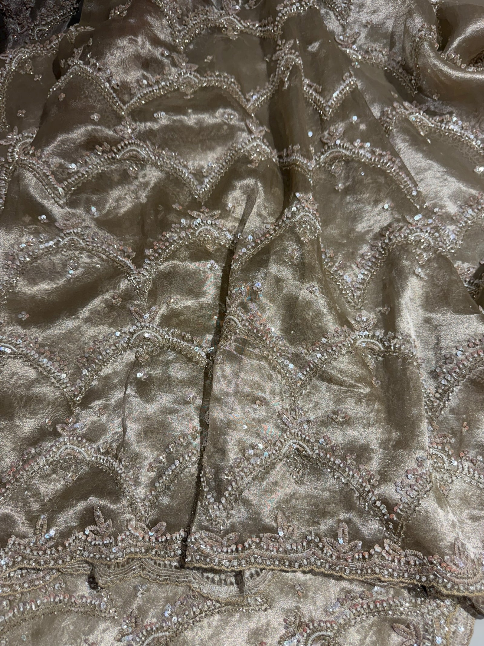 Nude tissue saree with heavy allover intricate handwork