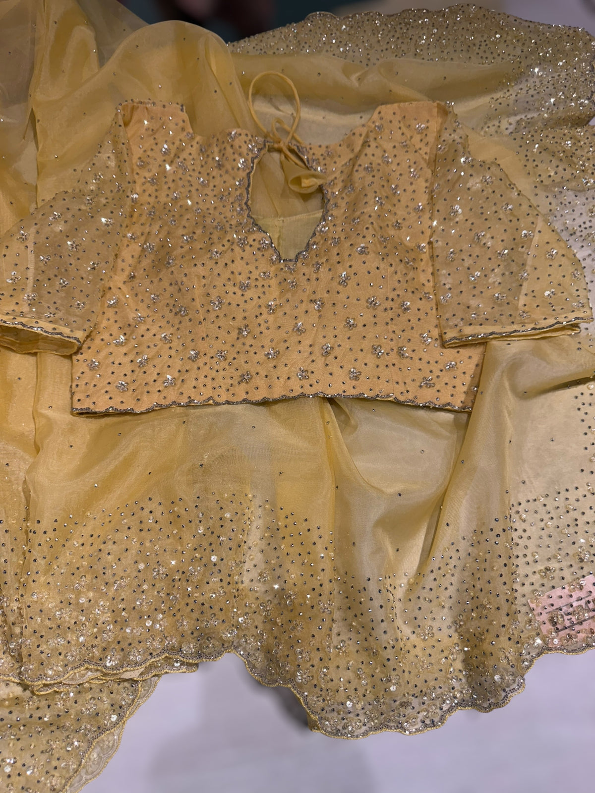 Pastel yellow Organza handwork saree with ready to wear blouse