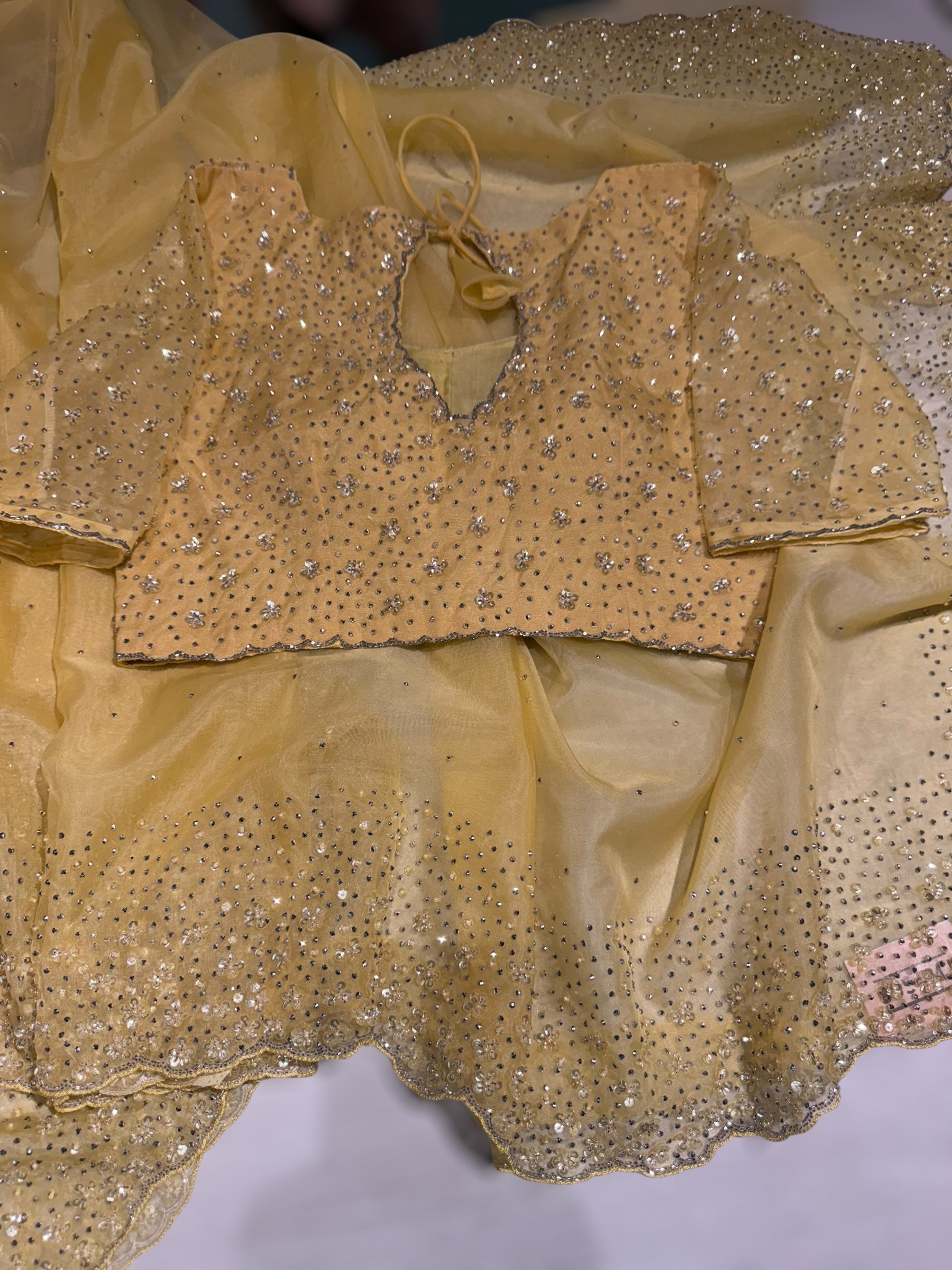 Pastel yellow Organza handwork saree with ready to wear blouse