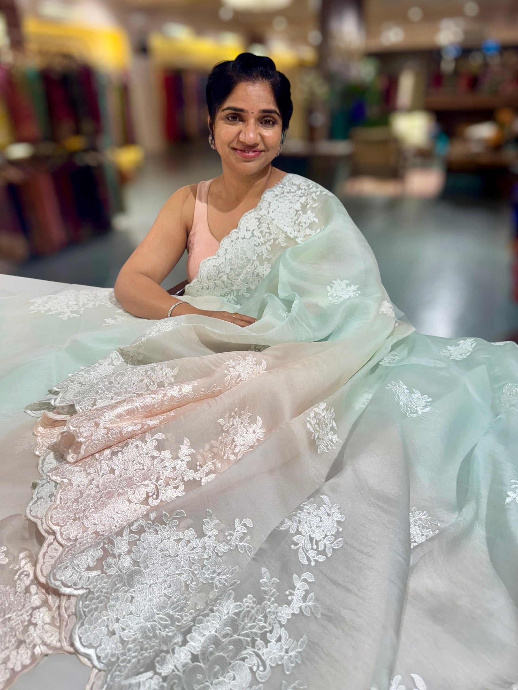 Pure Organza  Ombre Dyed Saree With allover Embroidery