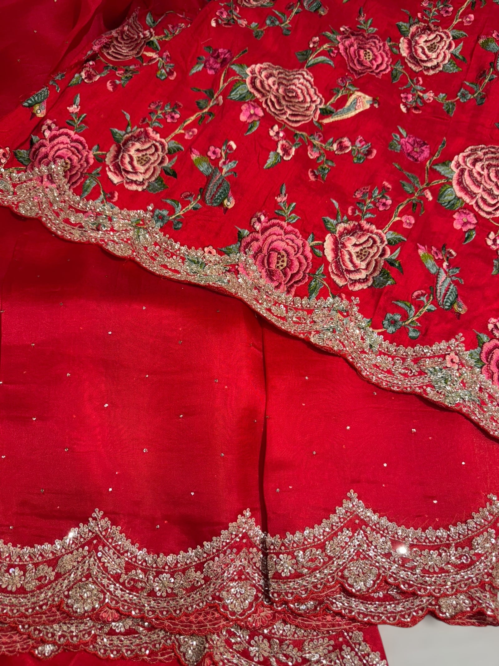 Chilli Red Pure Organza Handwork Saree with heavy Designer Blouse