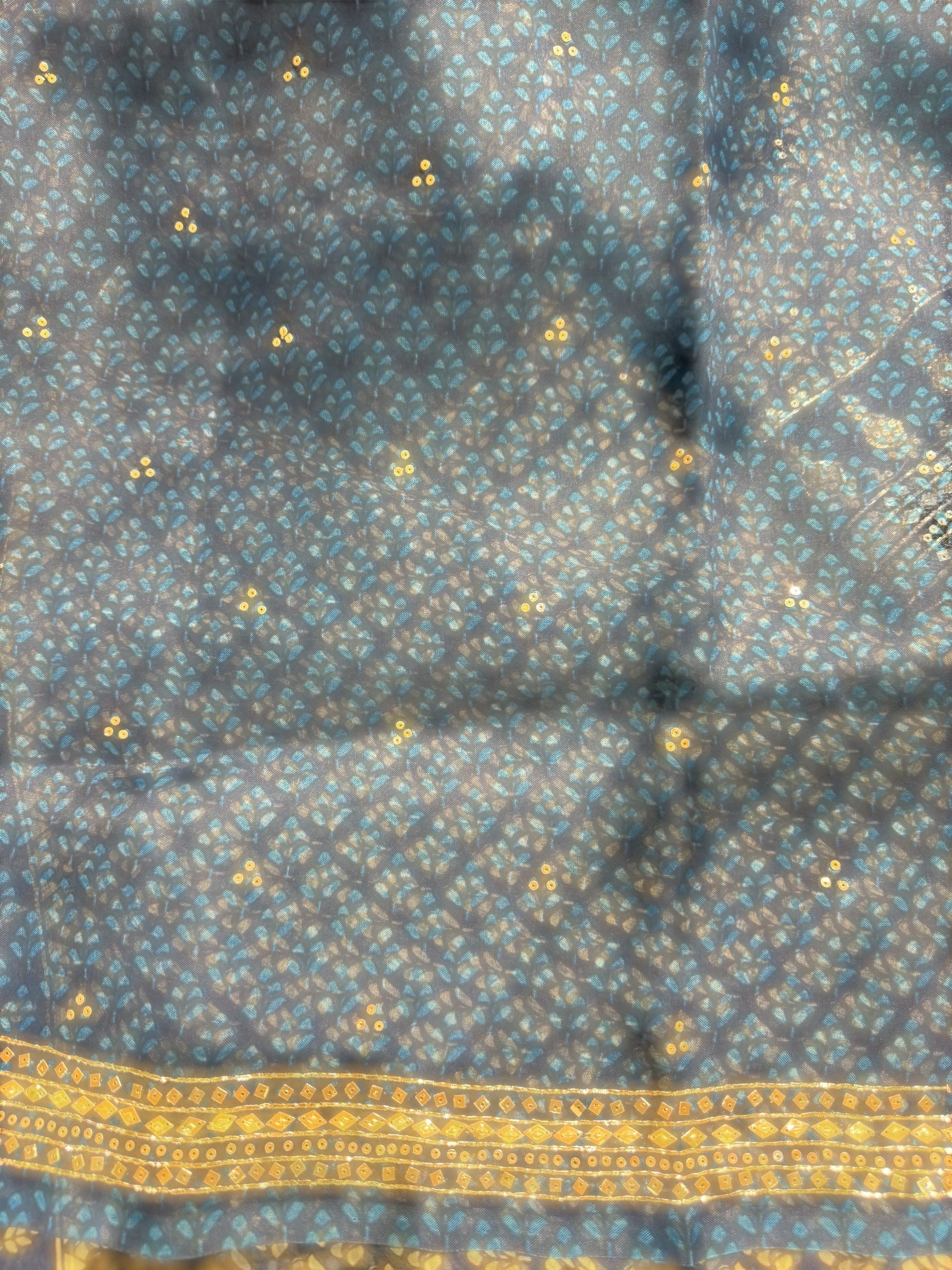 Kareena Kapoor Inspired Indigo Pure Organza Printed Saree with Handwork border and Blouse