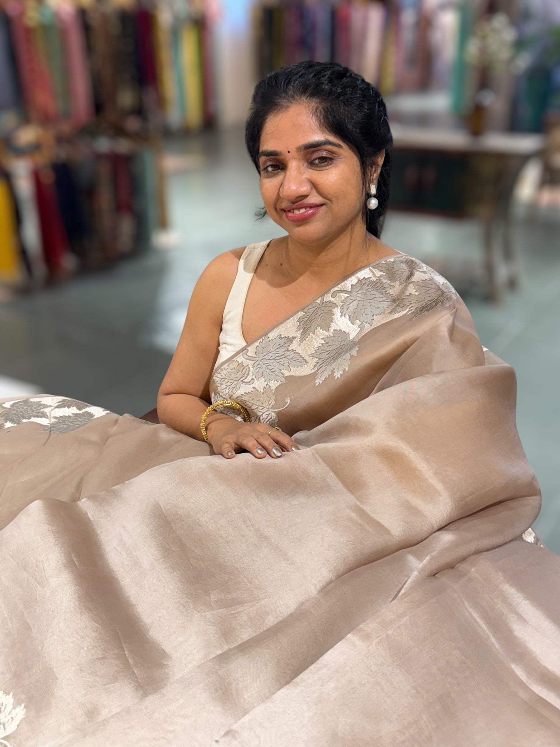 Taupe Organza Saree with Stunning Leaf Embroidered Border
