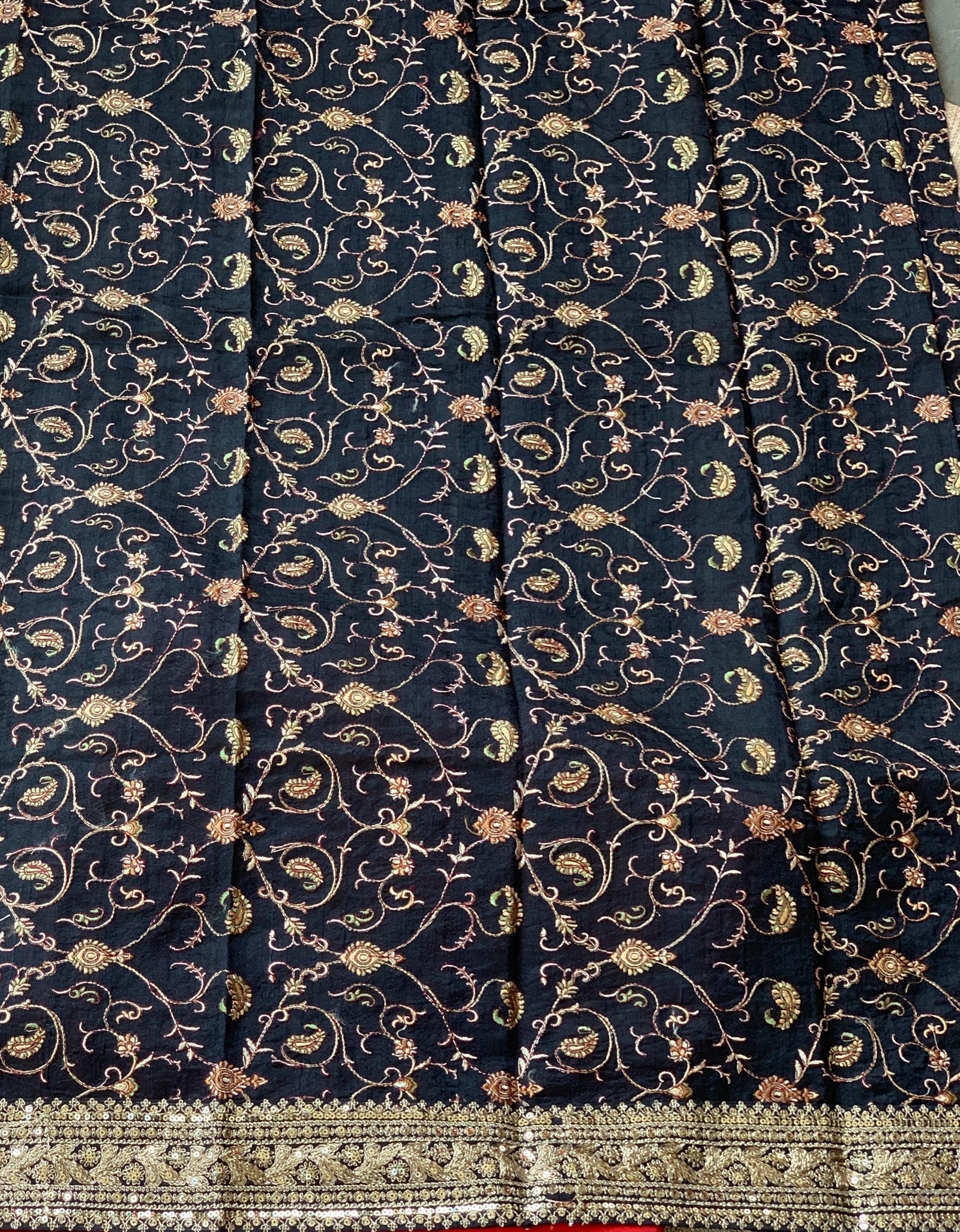 Red Organza with sabyasachi borders