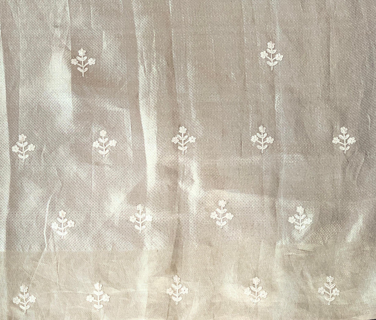 Silver Tissue Brocade Kanjeevaram with embroidery D62F038