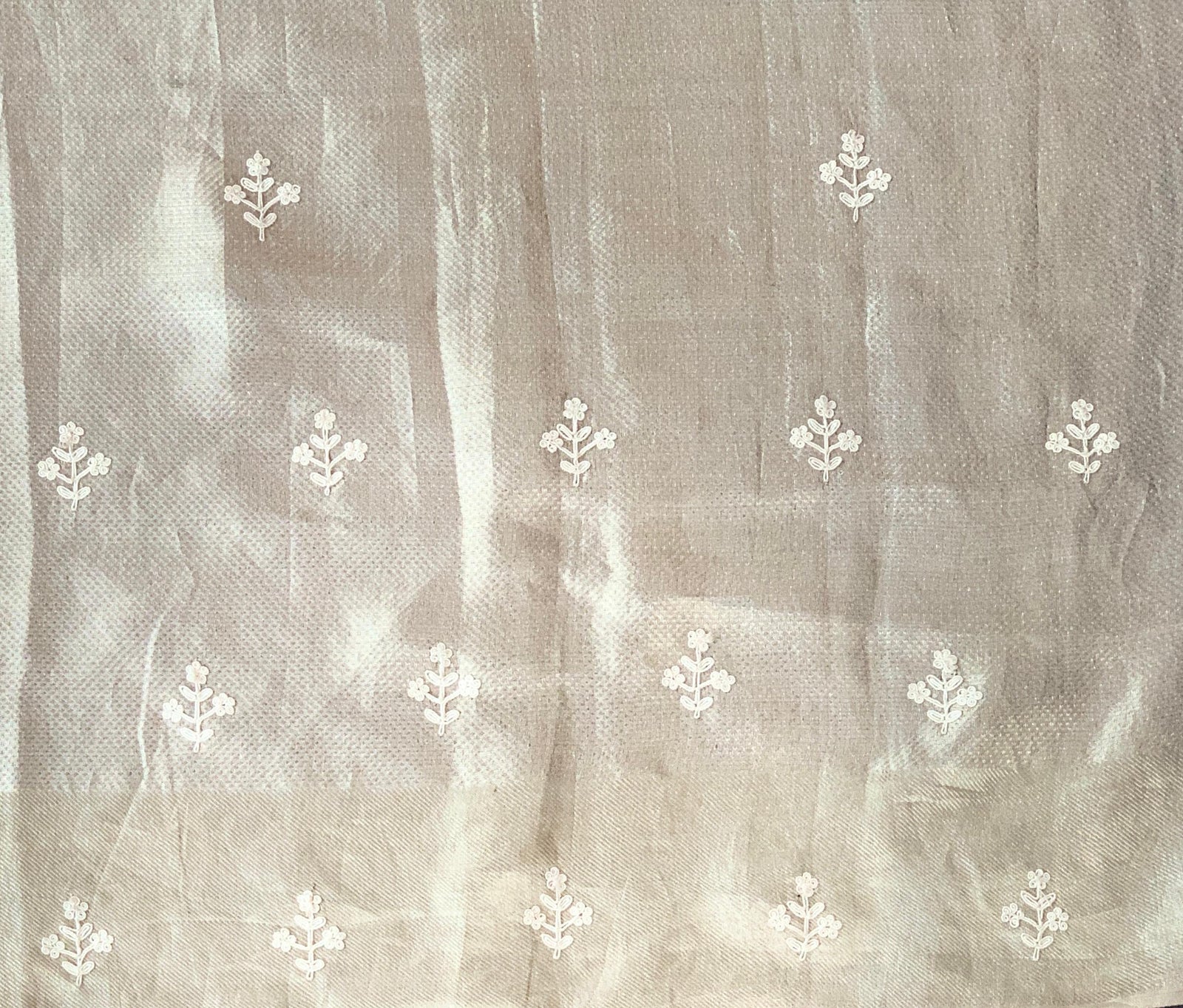 Silver Tissue Brocade Kanjeevaram with embroidery D62F038