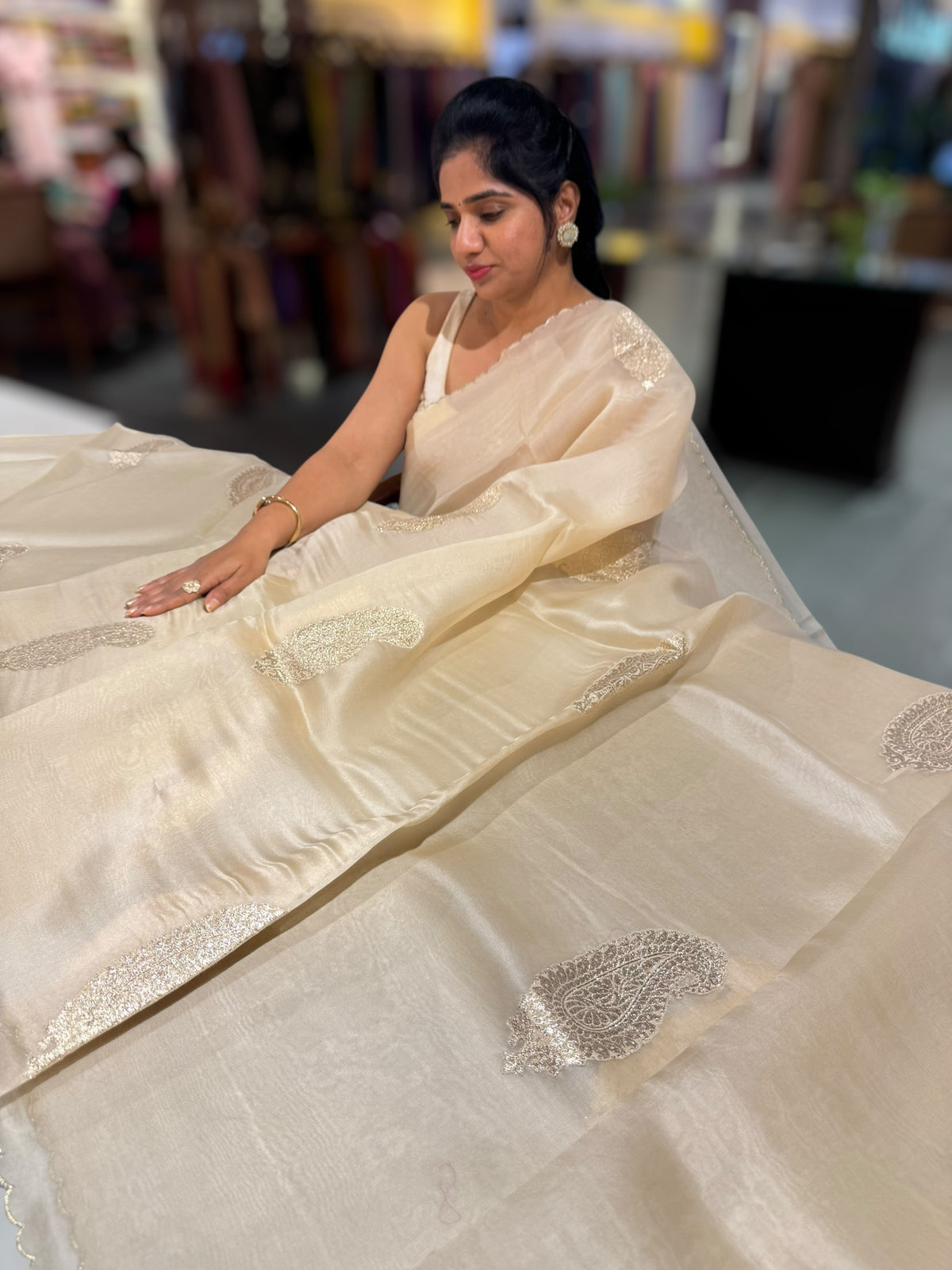 Beige Organza with applique motifs