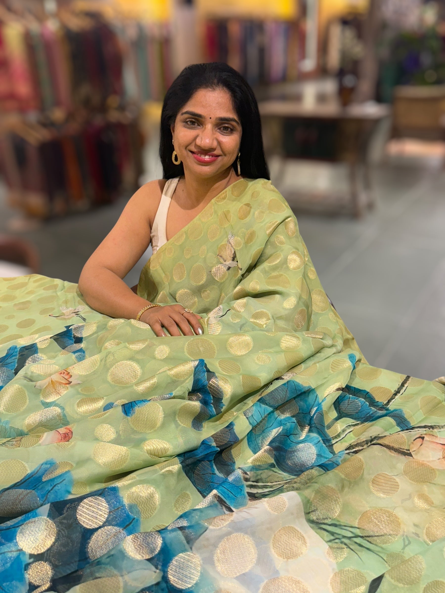 Mint Green Banarasi Kora Gorgette Polka dot Printed Saree