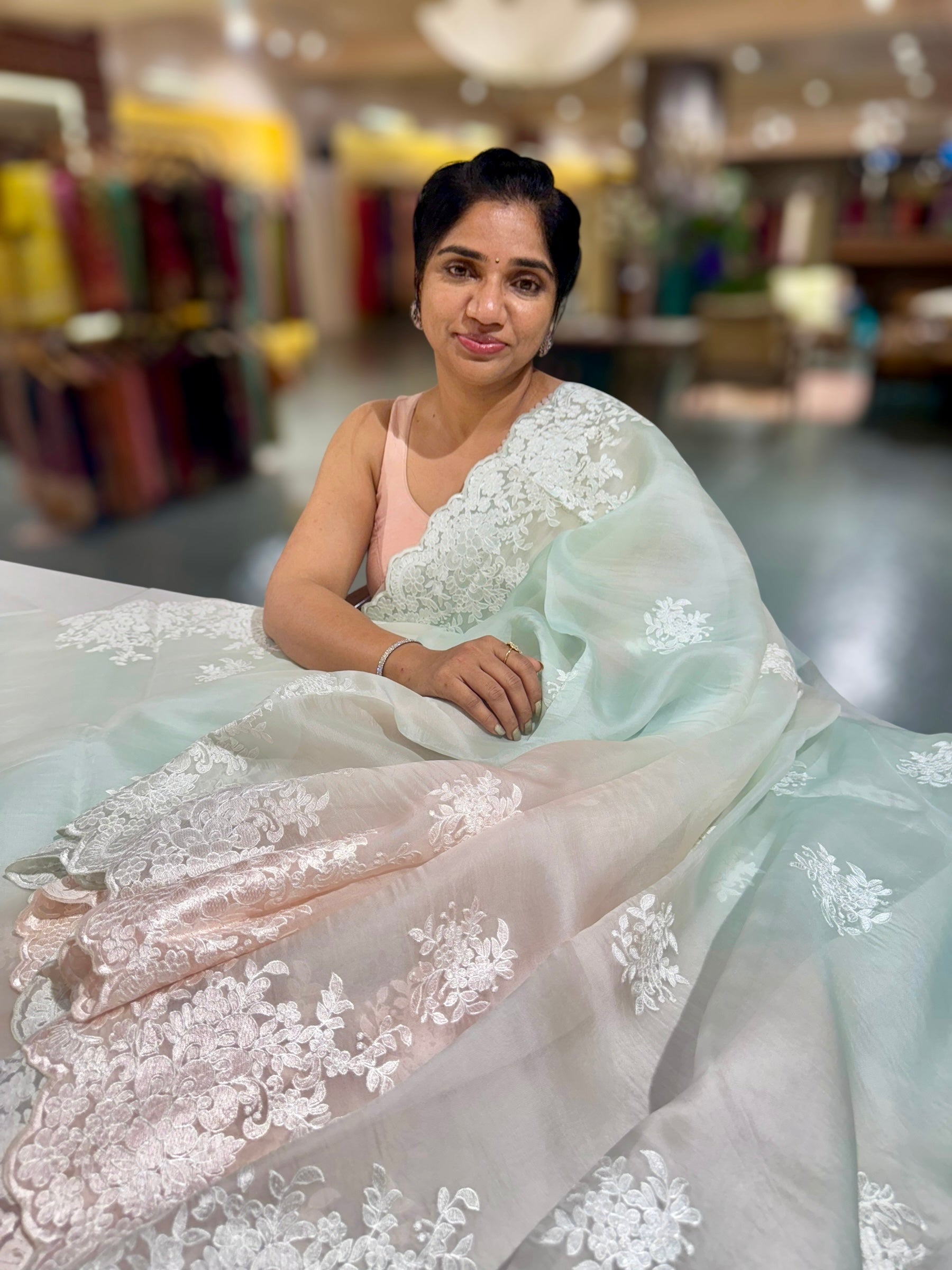 Pure Organza  Ombre Dyed Saree With allover Embroidery