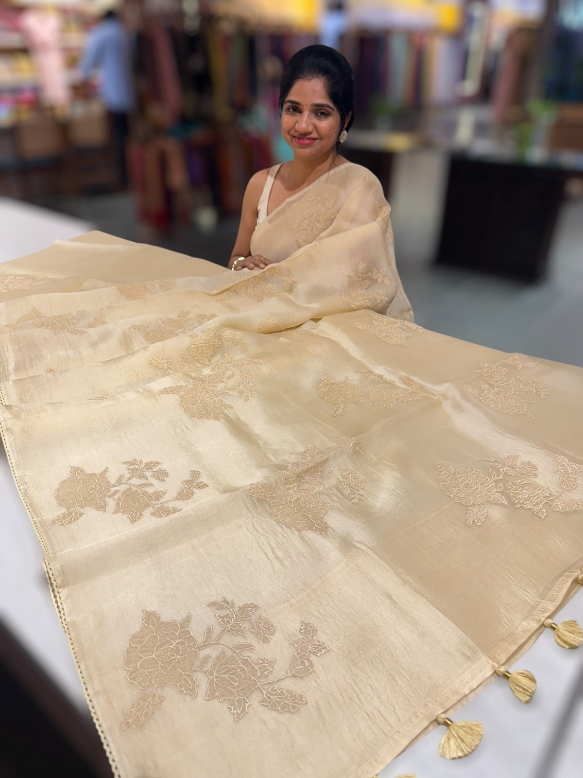 Beige Pure Organza with applique