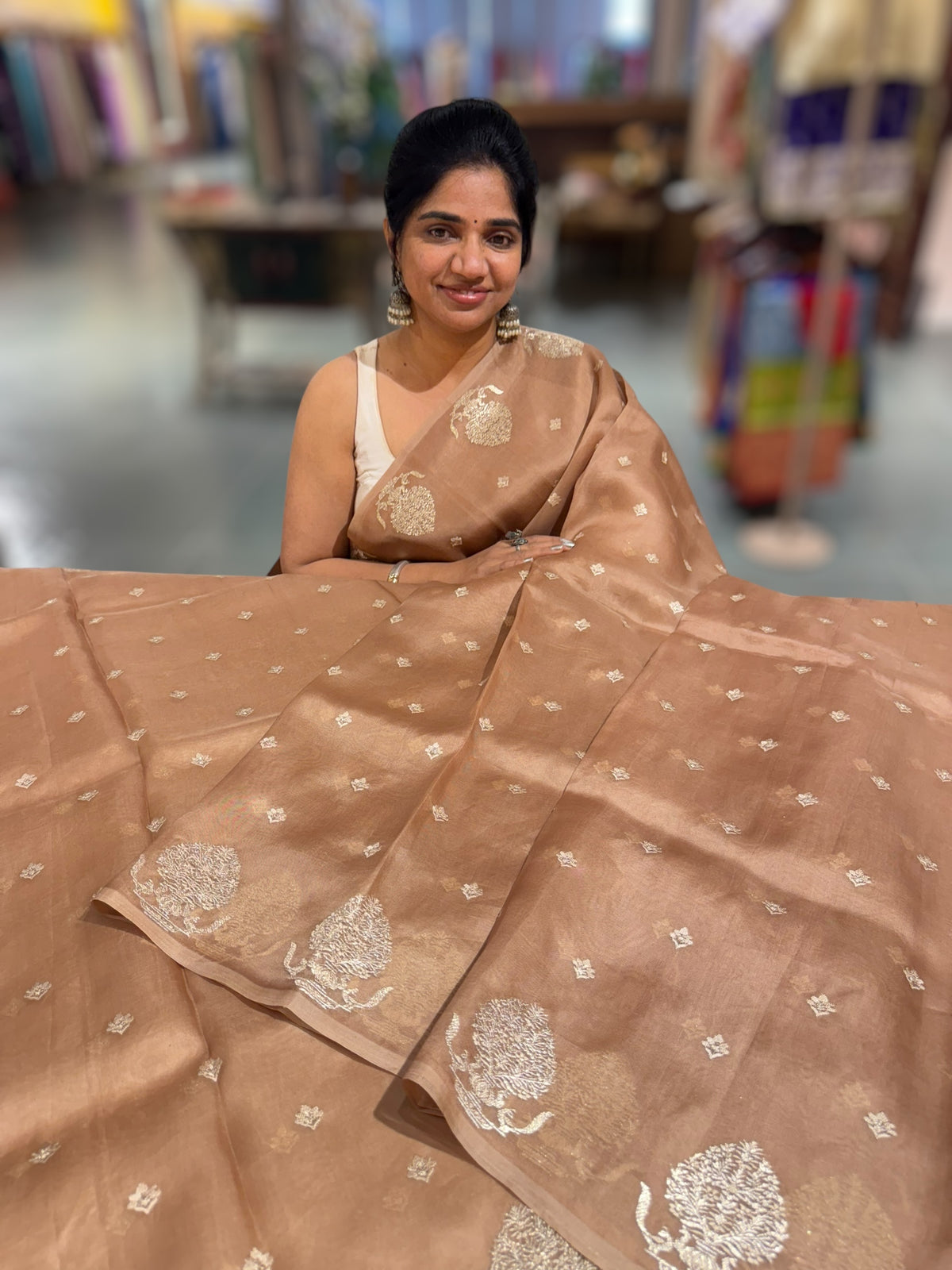 Nude Brown Organza Saree With Embroidery & Tussar Printed Blouse
