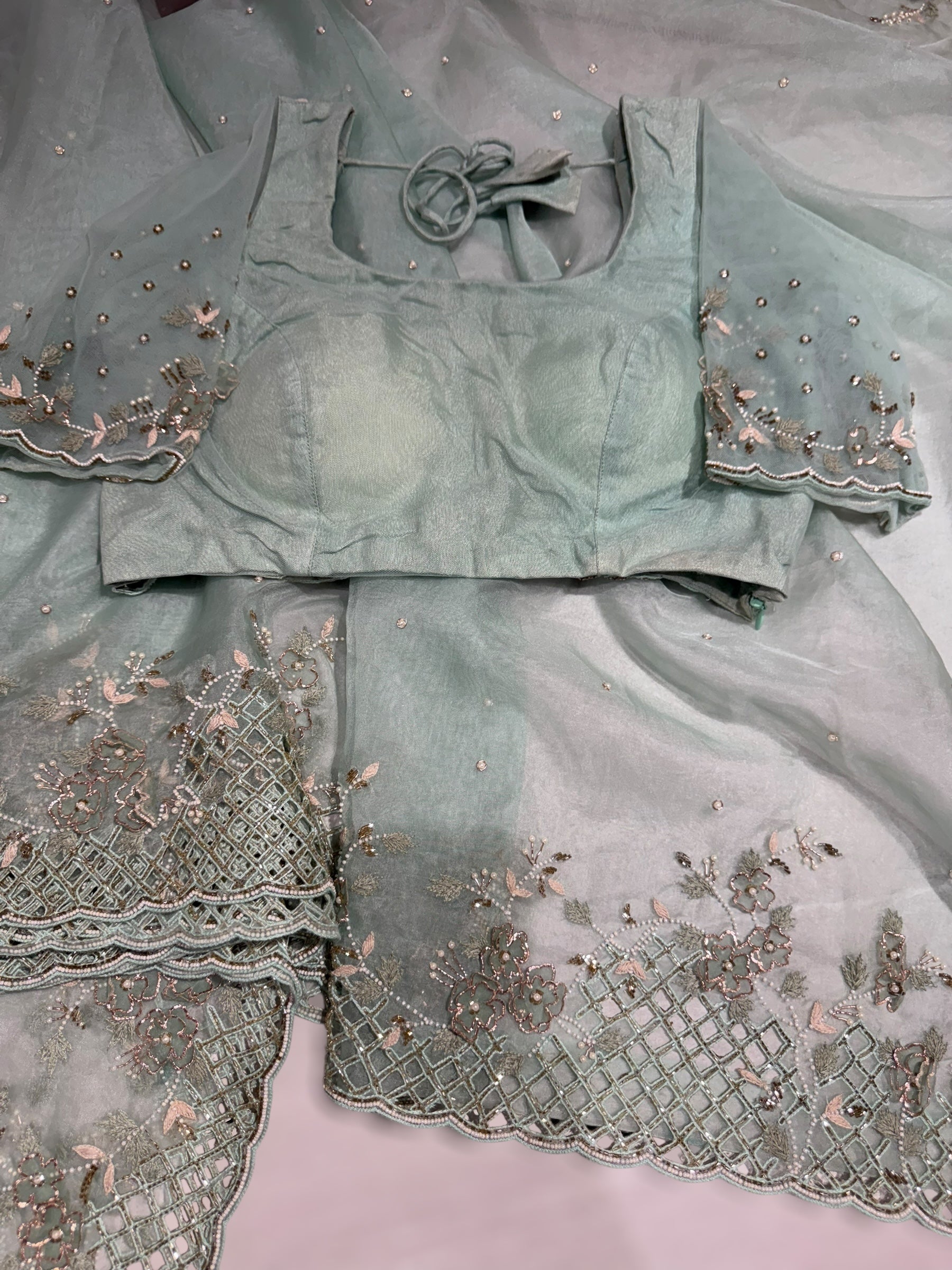 Mint Organza handwork saree with heavy cutwork handwork border ready to wear blouse