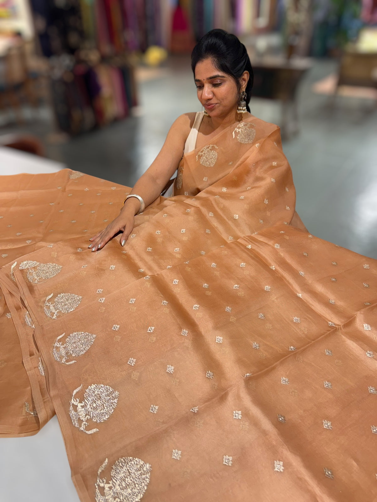Peach Organza Saree With Embroidered Motifs & Tussar Printed Blouse