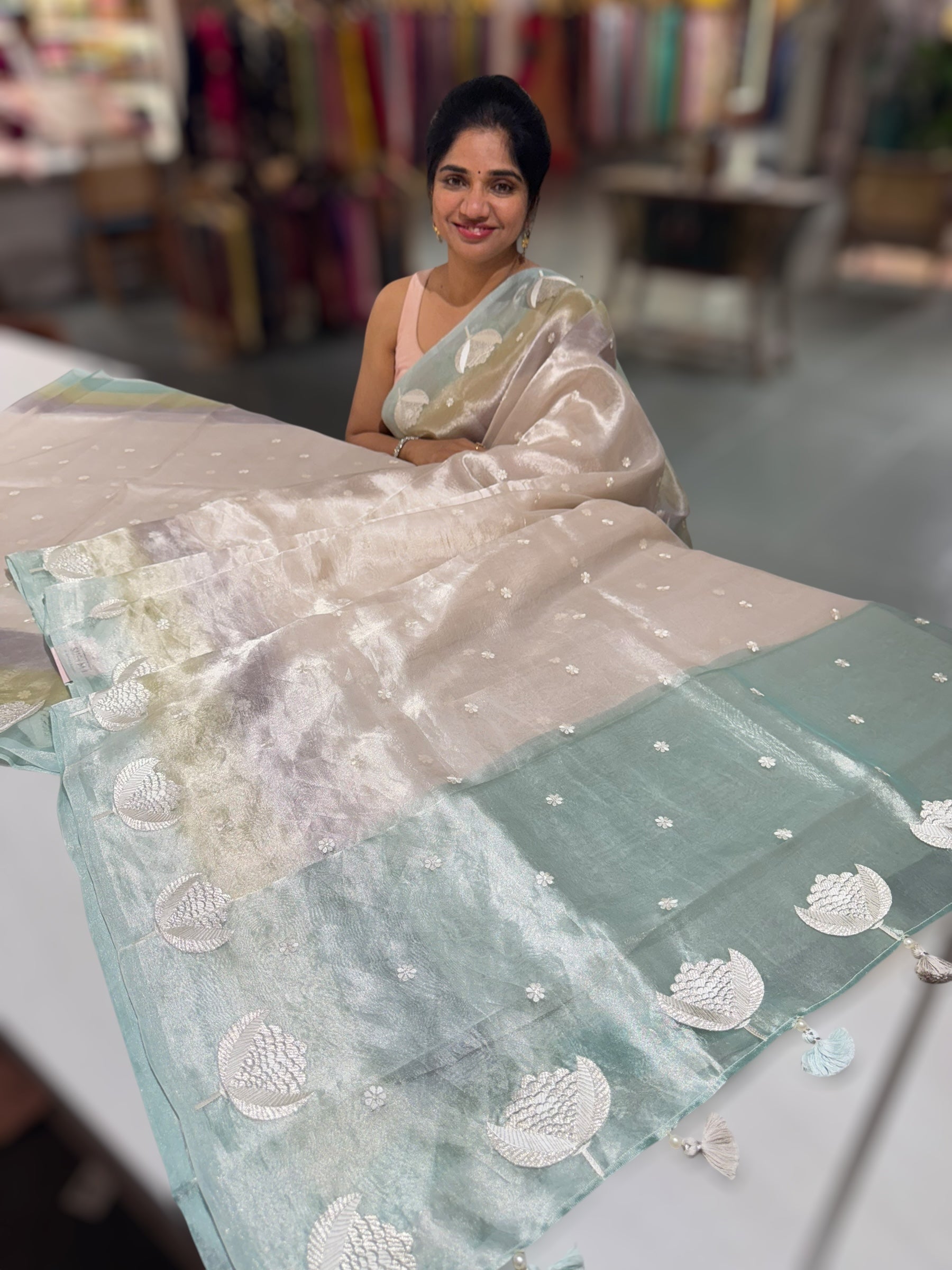 Silver Tissue Saree with ombre dyed Embroidered Border
