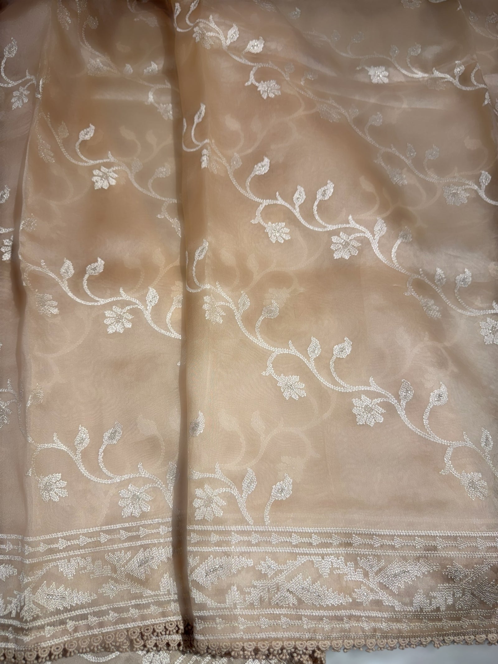 Beige Pure Organza with jamdani inspired embroidery