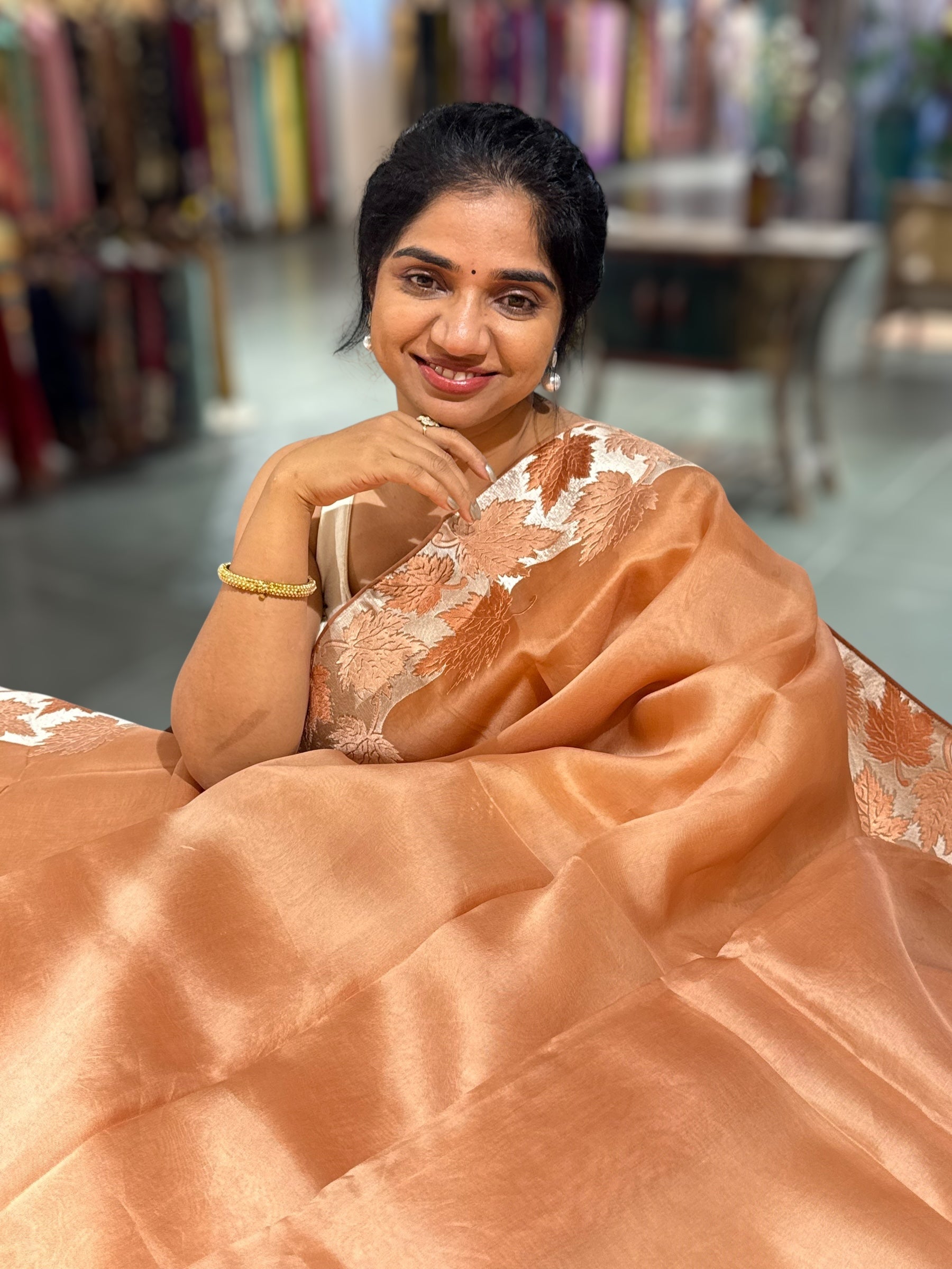 Peach Organza Saree with Stunning Leaf Embroidered Border