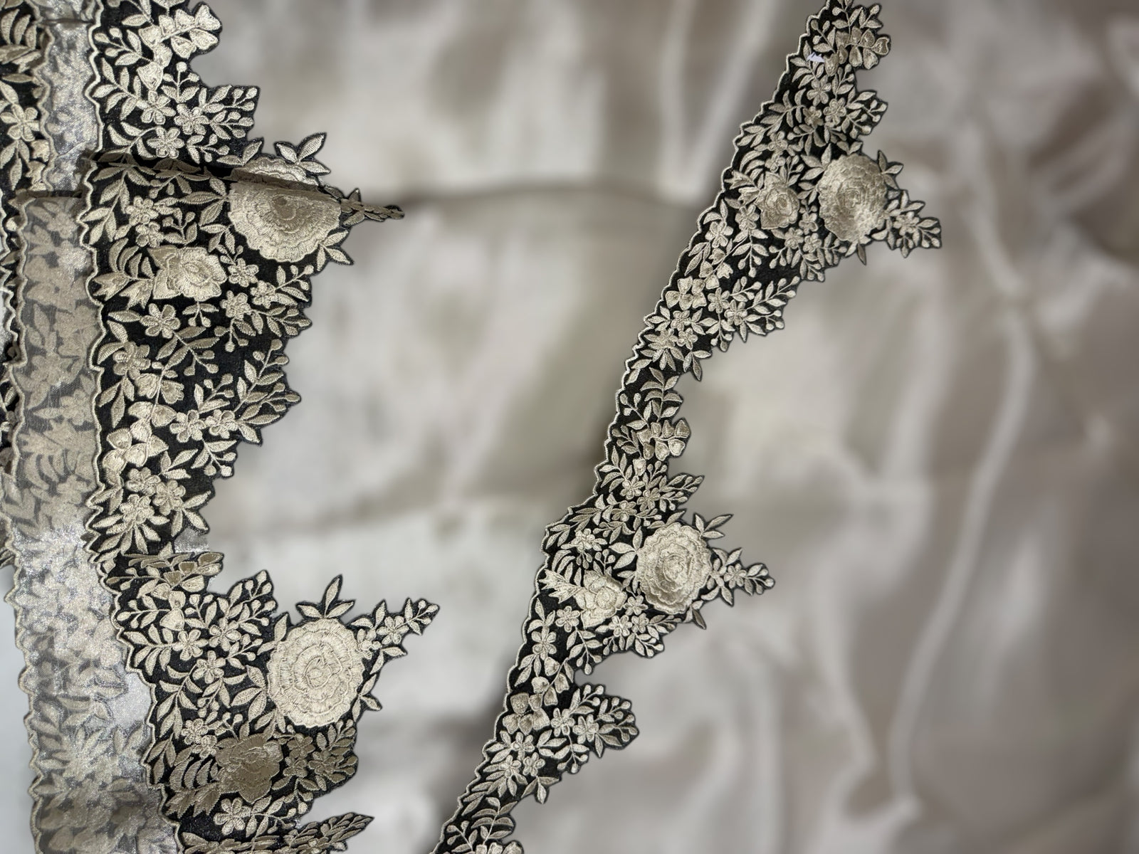 Silver Banarasi Tissue Saree with Parsi gara embroidery