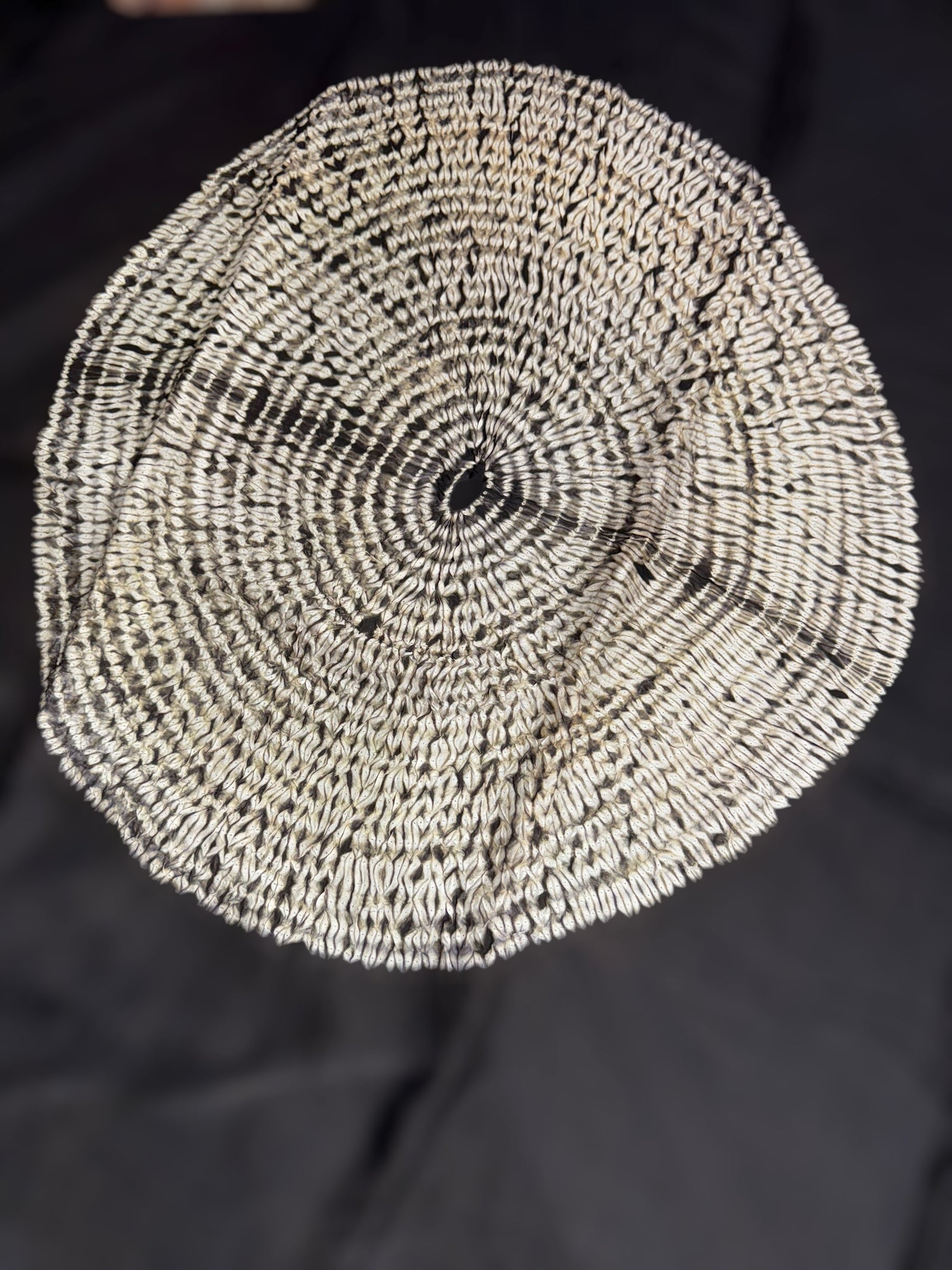 Black gajji silk saree with bandhini circular pallu