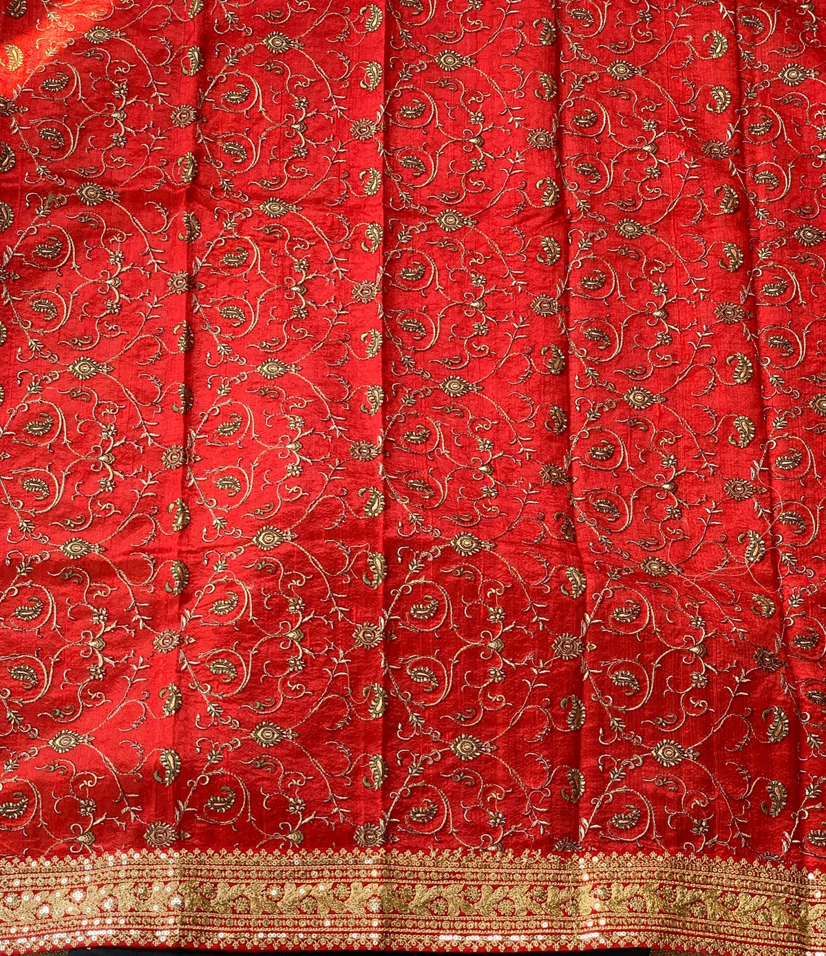 Black Organza with sabyasachi borders