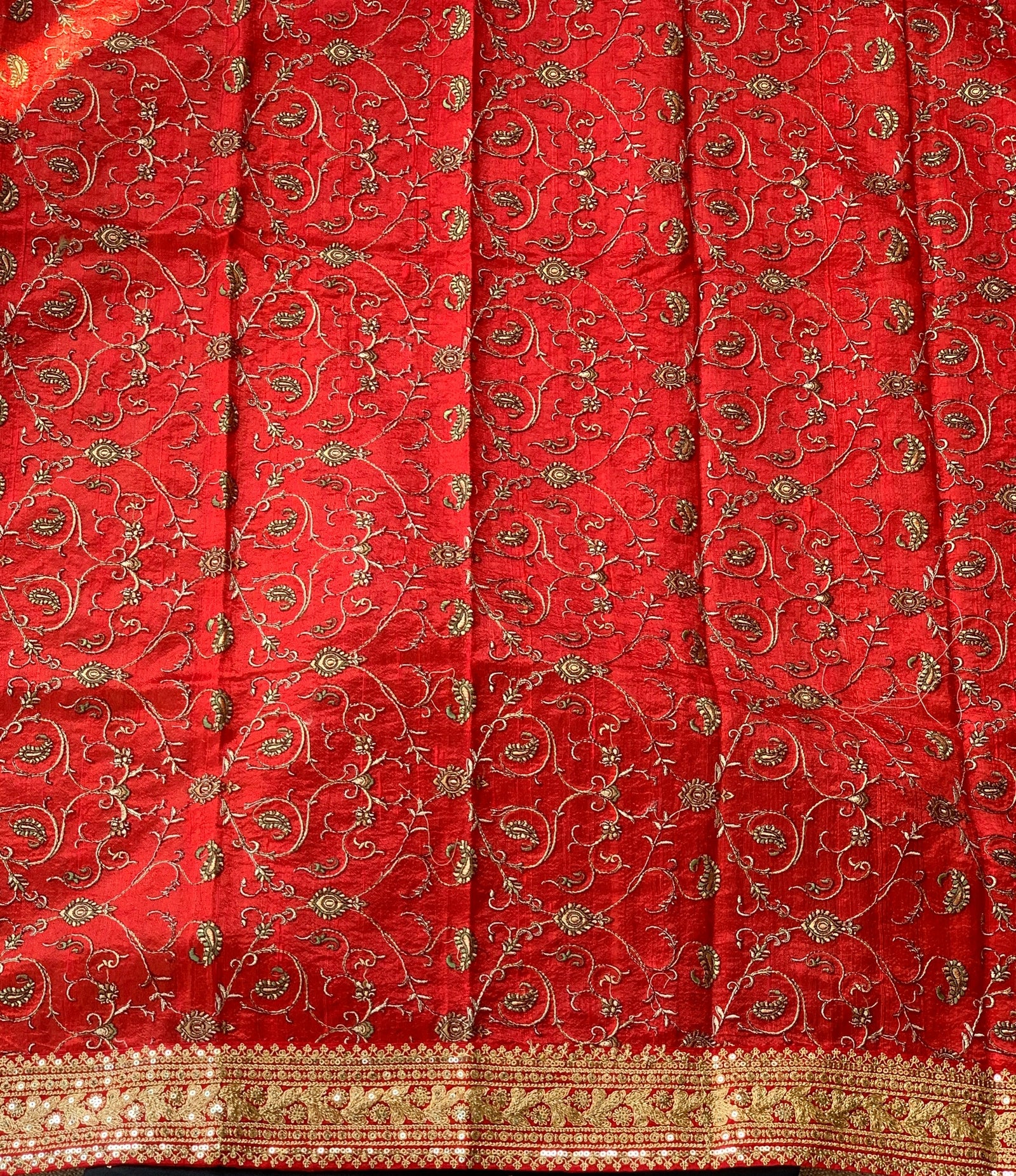 Black Organza with sabyasachi borders