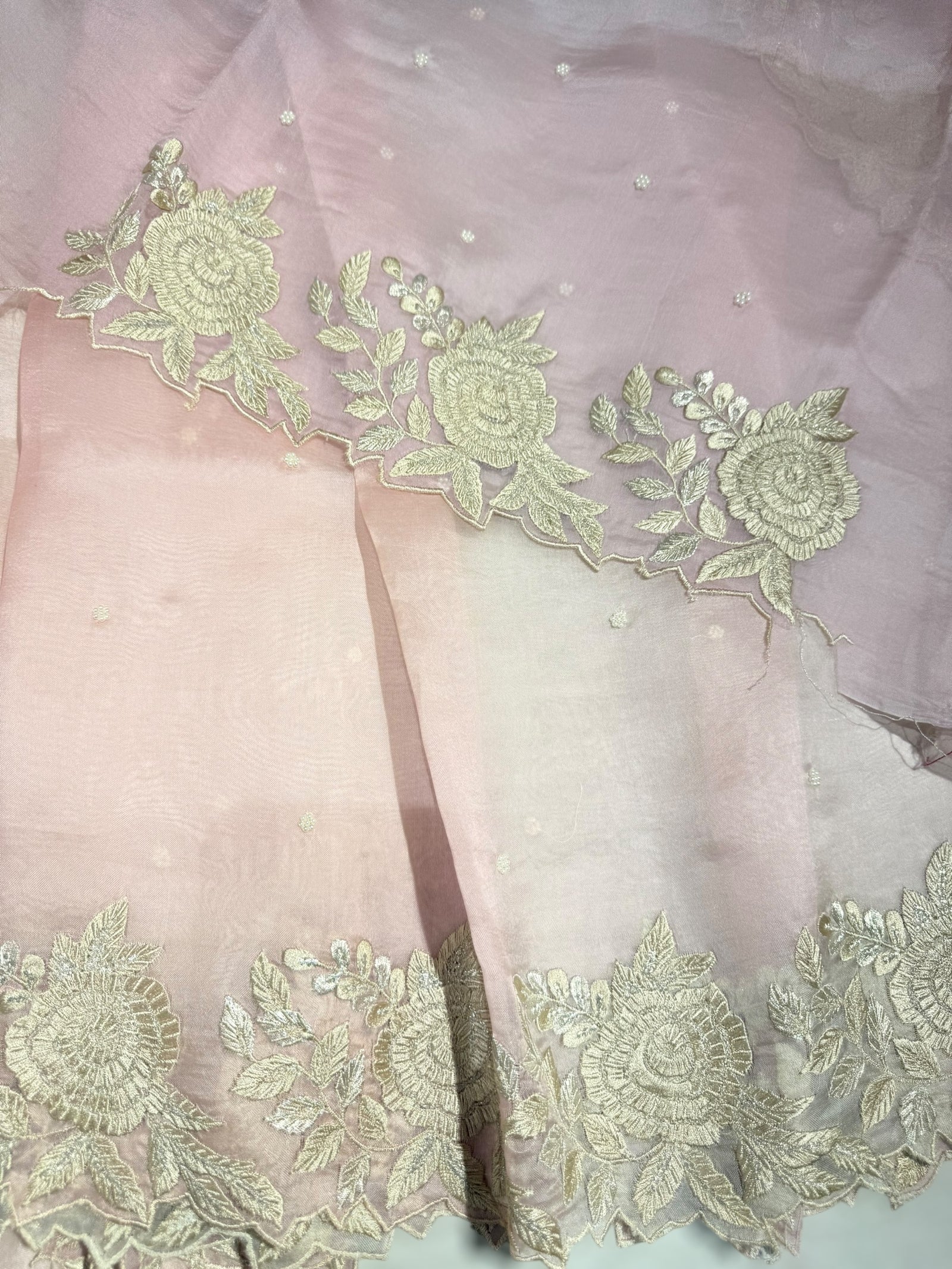 Ombre dyed Pure Organza Saree with parsi gara embroidery