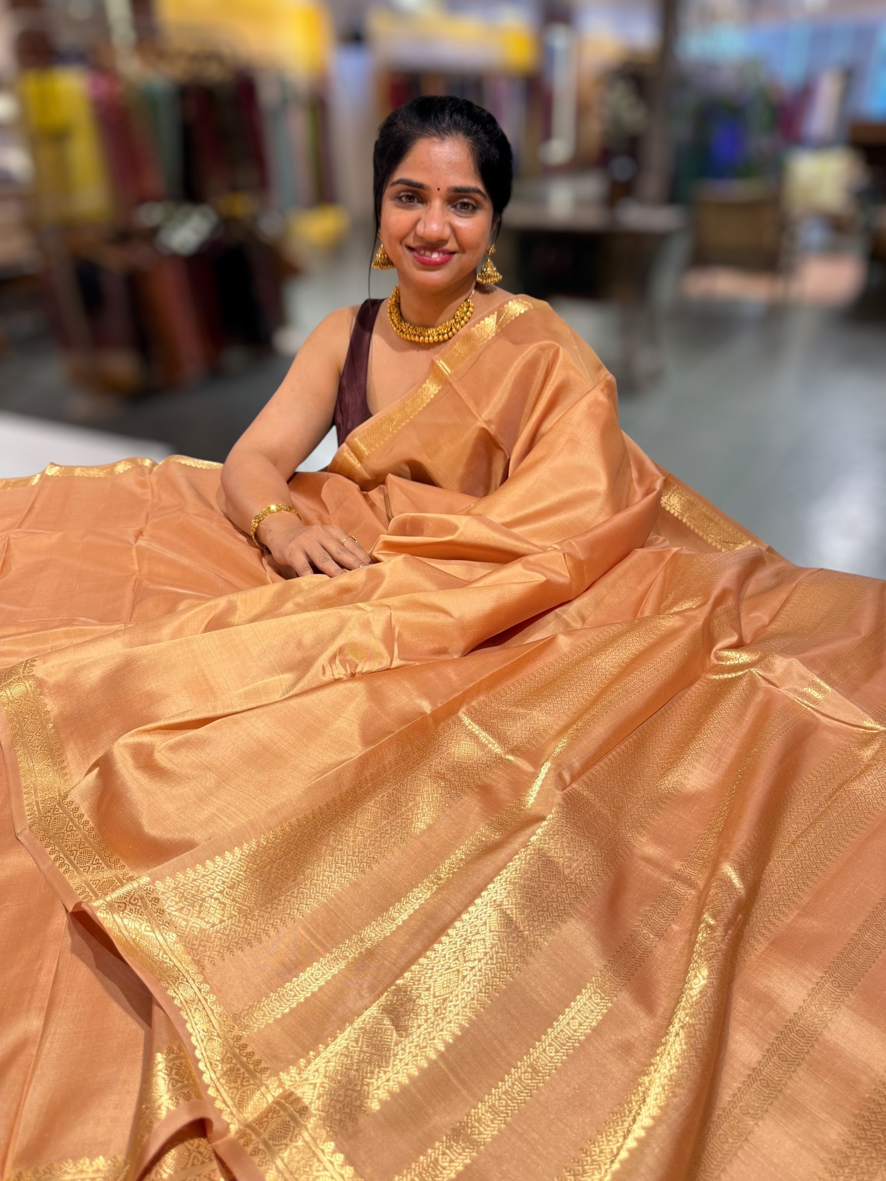 Beige Kanchi Vintage Saree with Petite Point Embroidered Blouse
