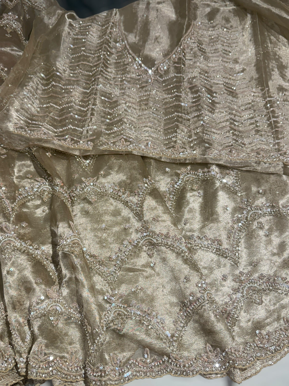 Nude tissue saree with heavy allover intricate handwork